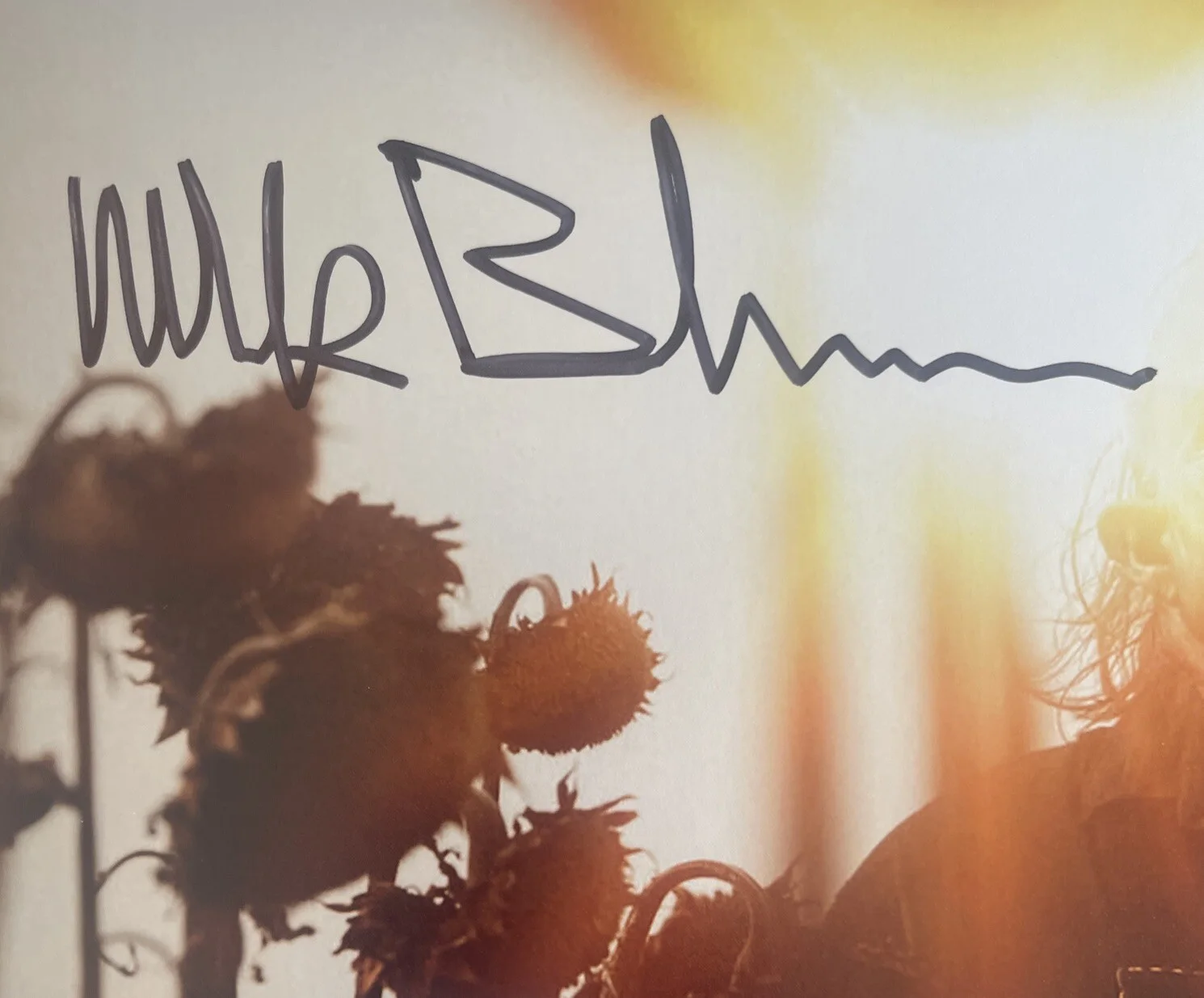 Mark Burnham 8x10 Signed Leatherface Autograph Beckett BAS COA Texas Chainsaw TC, image 3