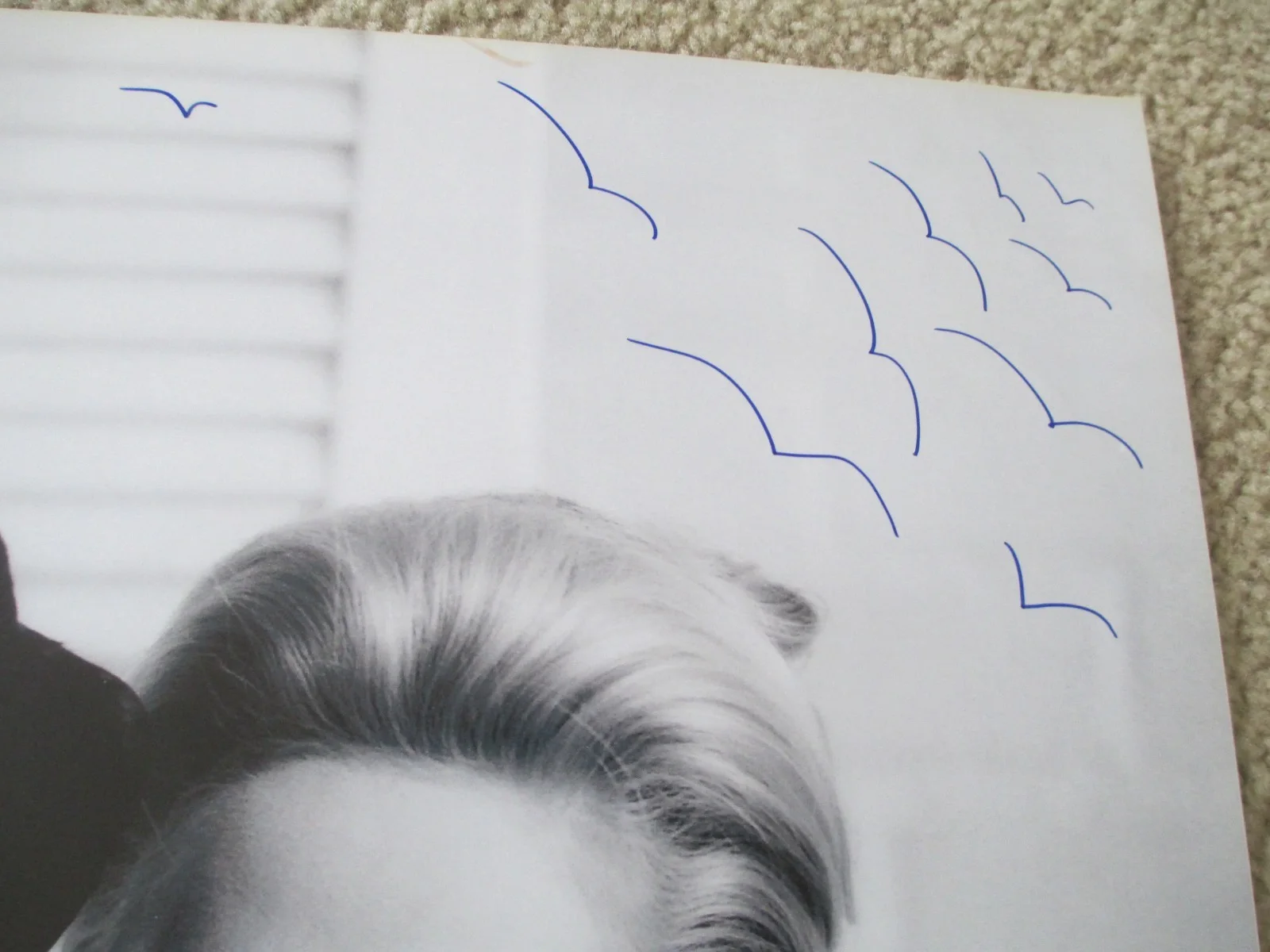 Tippi Hedren Signed And Inscribed 16x20 Photo "The Birds" JSA Authenticated, изображение 3
