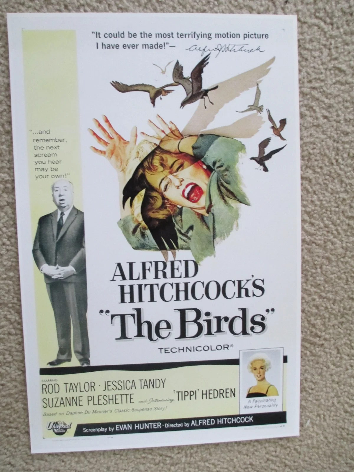 Tippi Hedren Signed And Inscribed 16x20 Photo "The Birds" JSA Authenticated, изображение 5