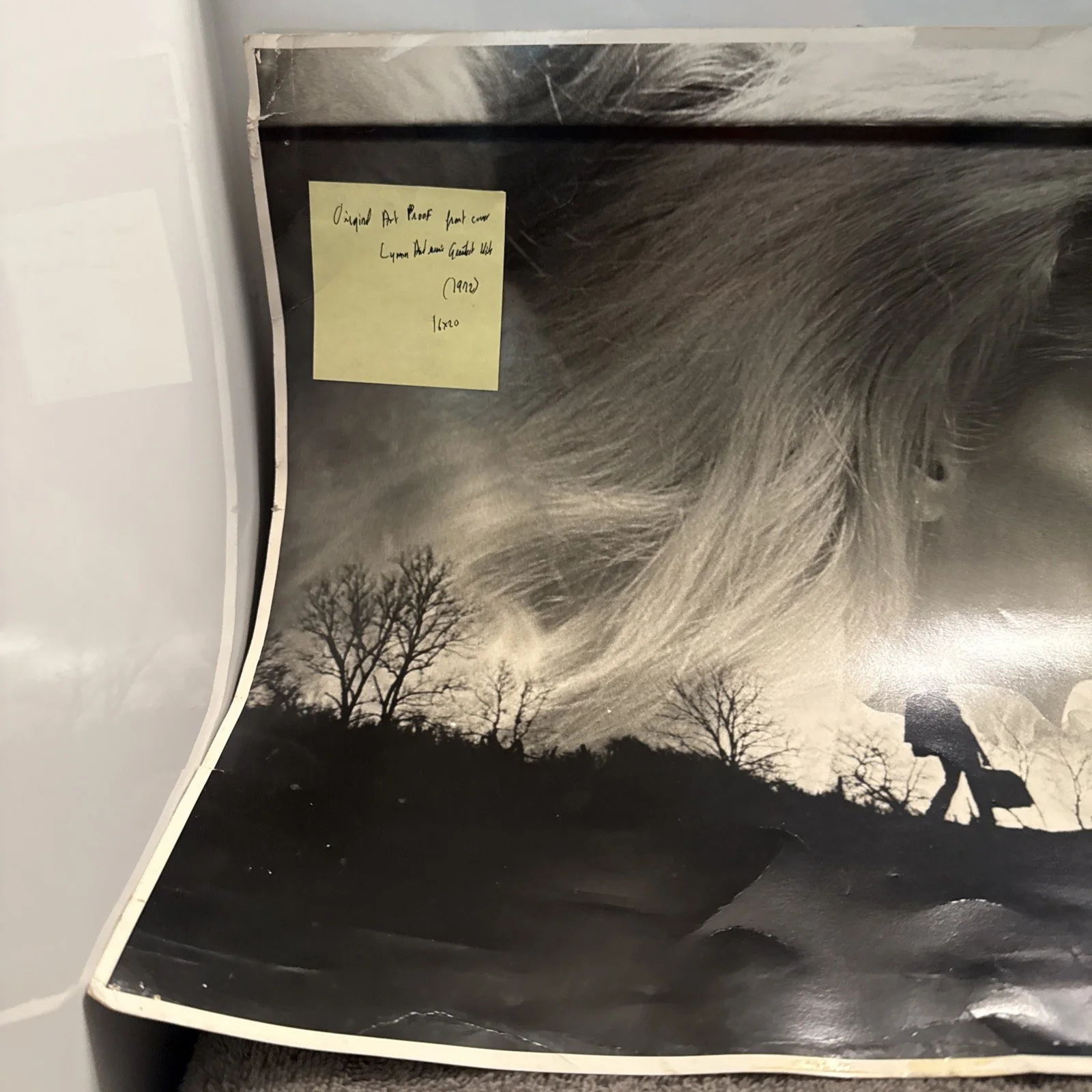 Lynn Anderson Autographed Photo Country Music Singer 20” X 16” Box30, изображение 4