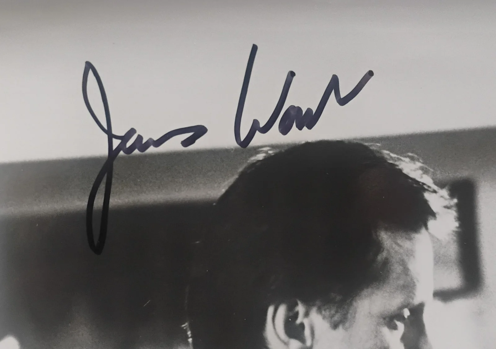 James Woods & Victoria Tennant Hand Signed 8x10 Photo COA - NO US TARIFFS, изображение 3