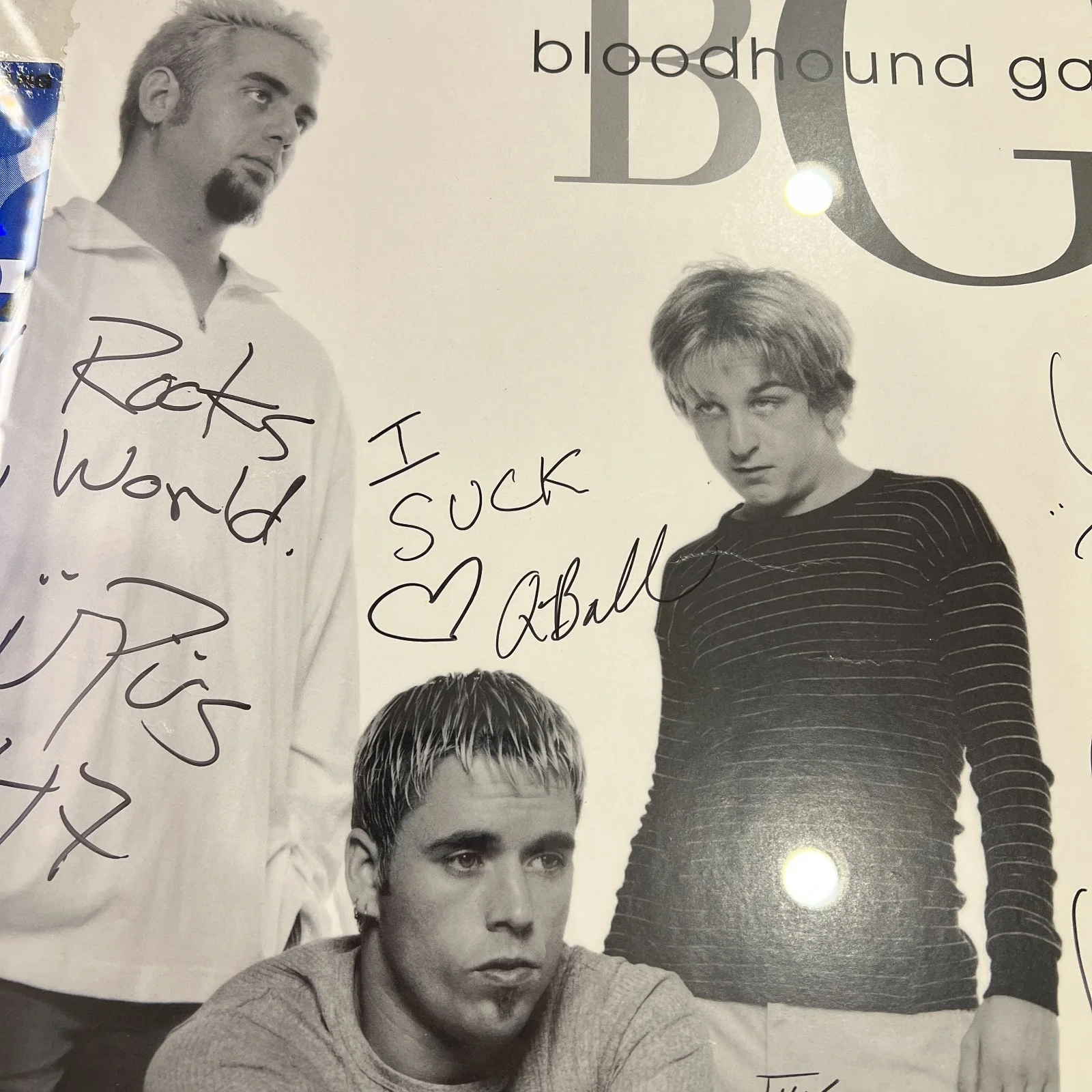Bloodhound Hang Full Band Signed Autographed Framed Poster [JSA], image 4