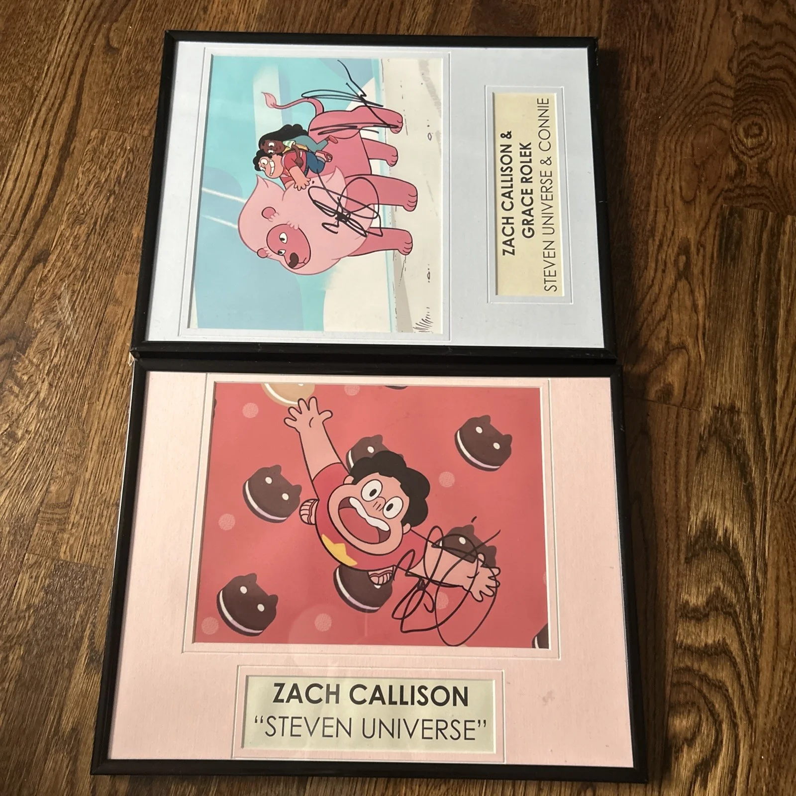 zach callison and grace rolek — Steven Universe Zach Allison Grace Rolek Signed Autograph 11x14 Two Pack
