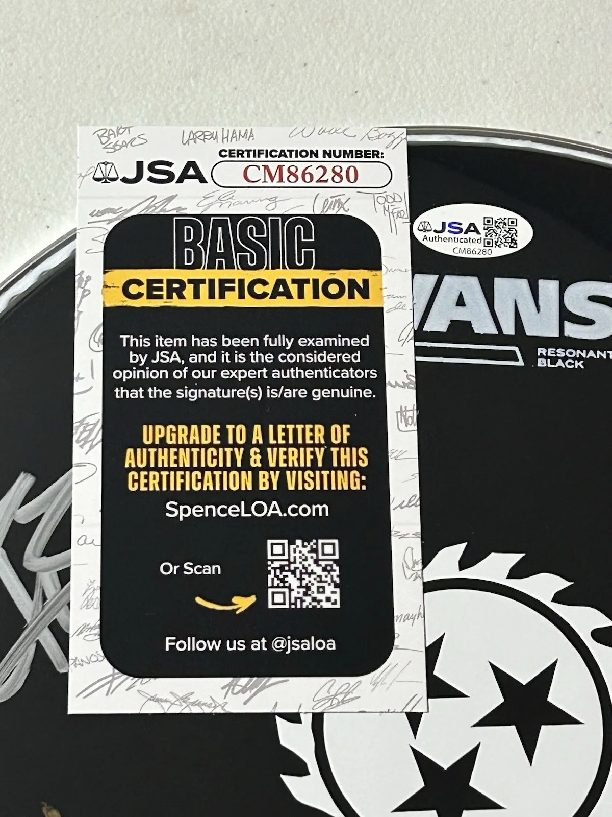 WHITECHAPEL AUTOGRAPHED SIGNED 10" DRUMHEAD WITH JSA COA # CM86280, image 2