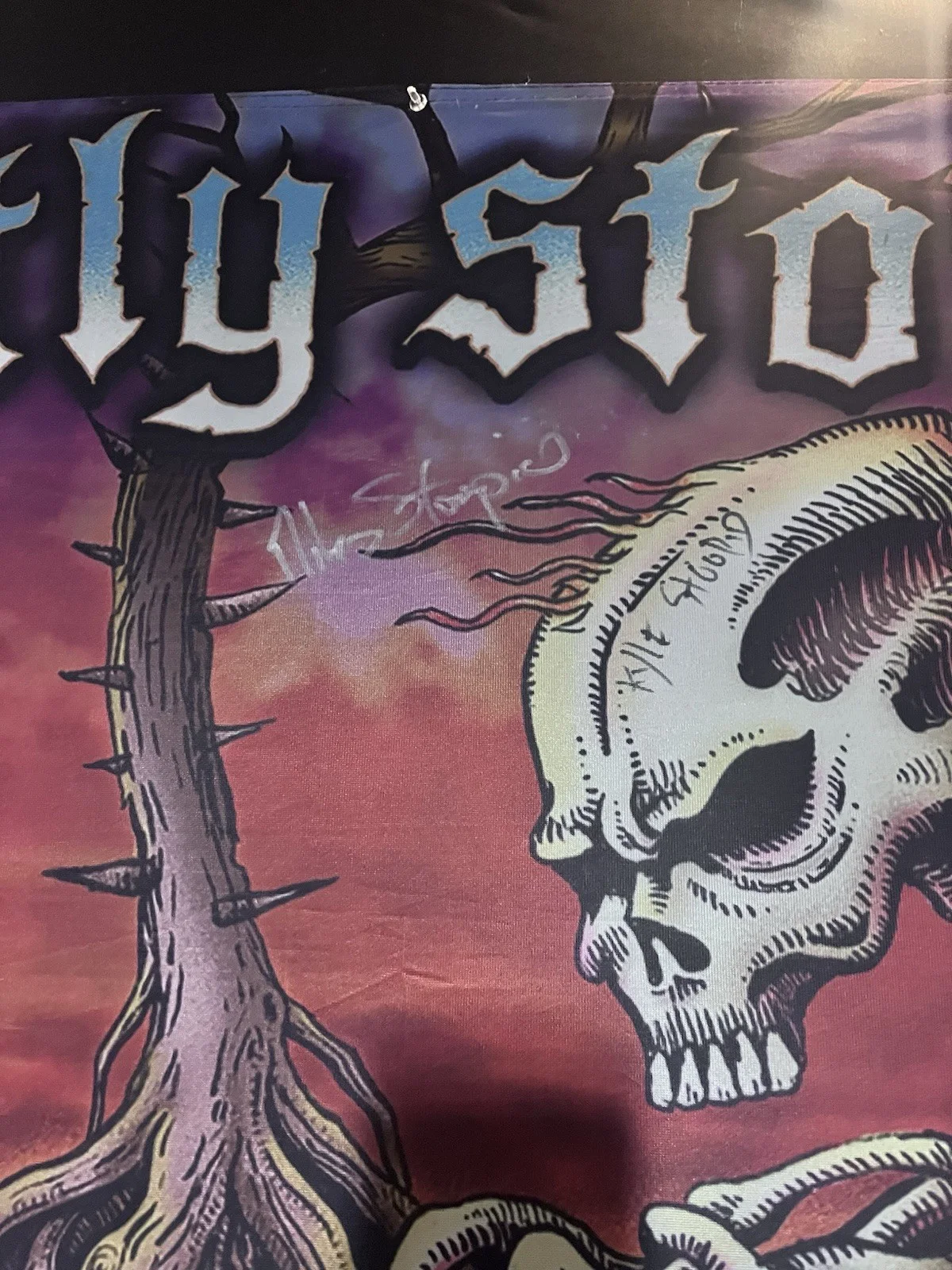 Slightly Stoopid - Closer To The Sun Signed Flag From 2017 RARE, image 2