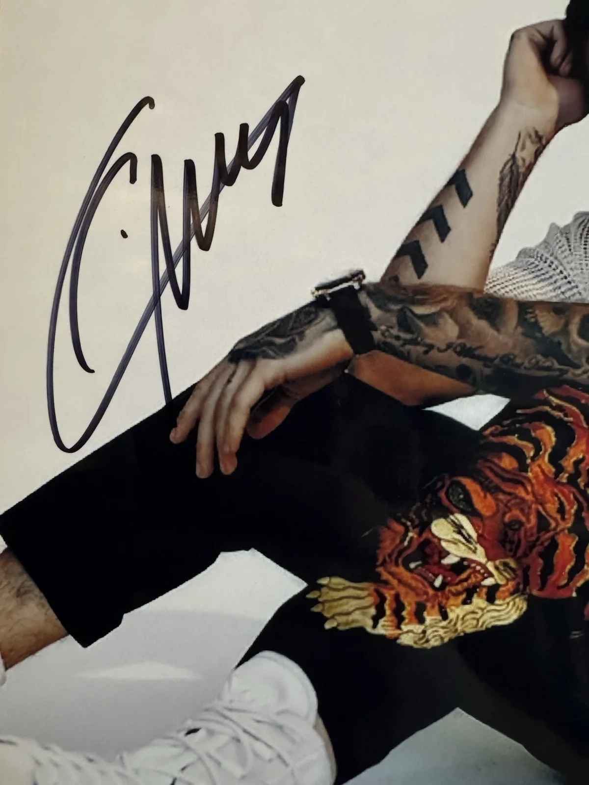 Liam Payne autographed photo 8 x 10 w/COA hand signed One Direction RIP, image 2