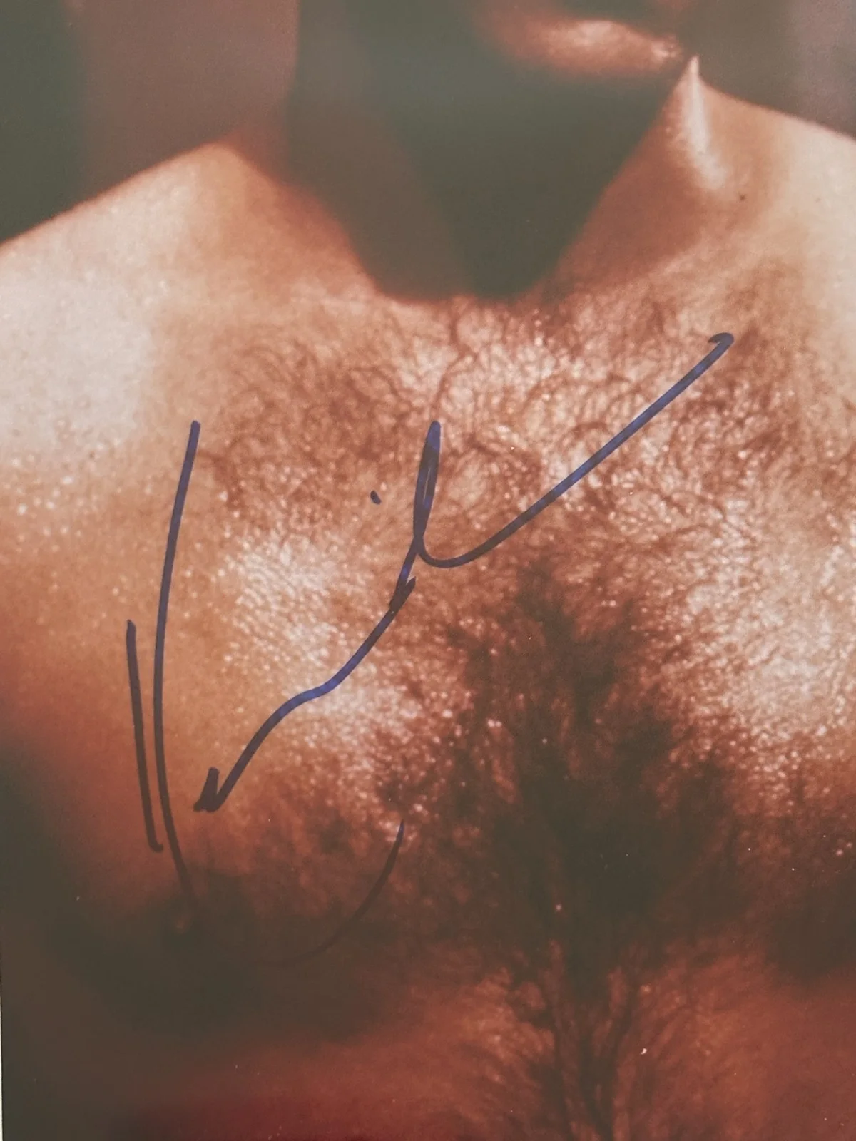 KEVIN COSTNER — KEVIN COSTNER Signed 8 X 10 PHOTO Beckett Encapsulated, image 2