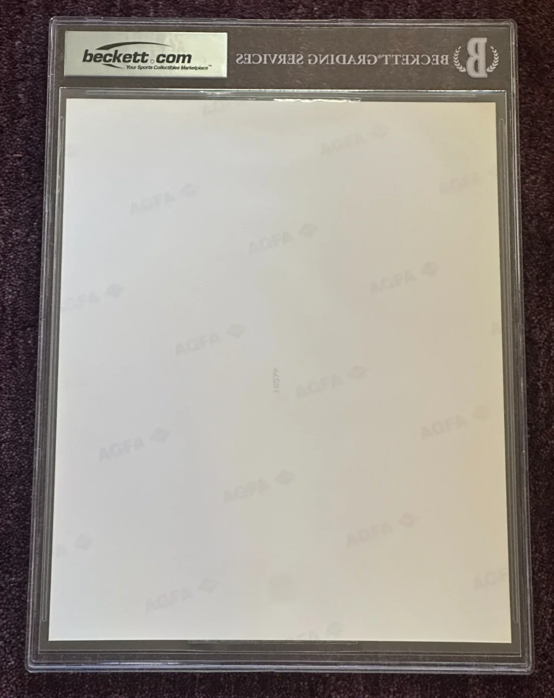 CHER Signed 8 X 10 PHOTO Beckett Encapsulated (BAS), image 2