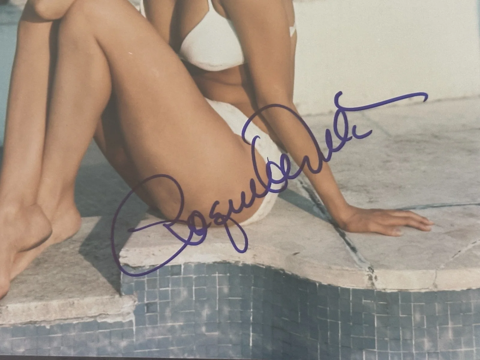 RAQUEL WELCH — RAQUEL WELCH Signed 8 X 10 PHOTO Beckett Encapsulated (BAS), изображение 2