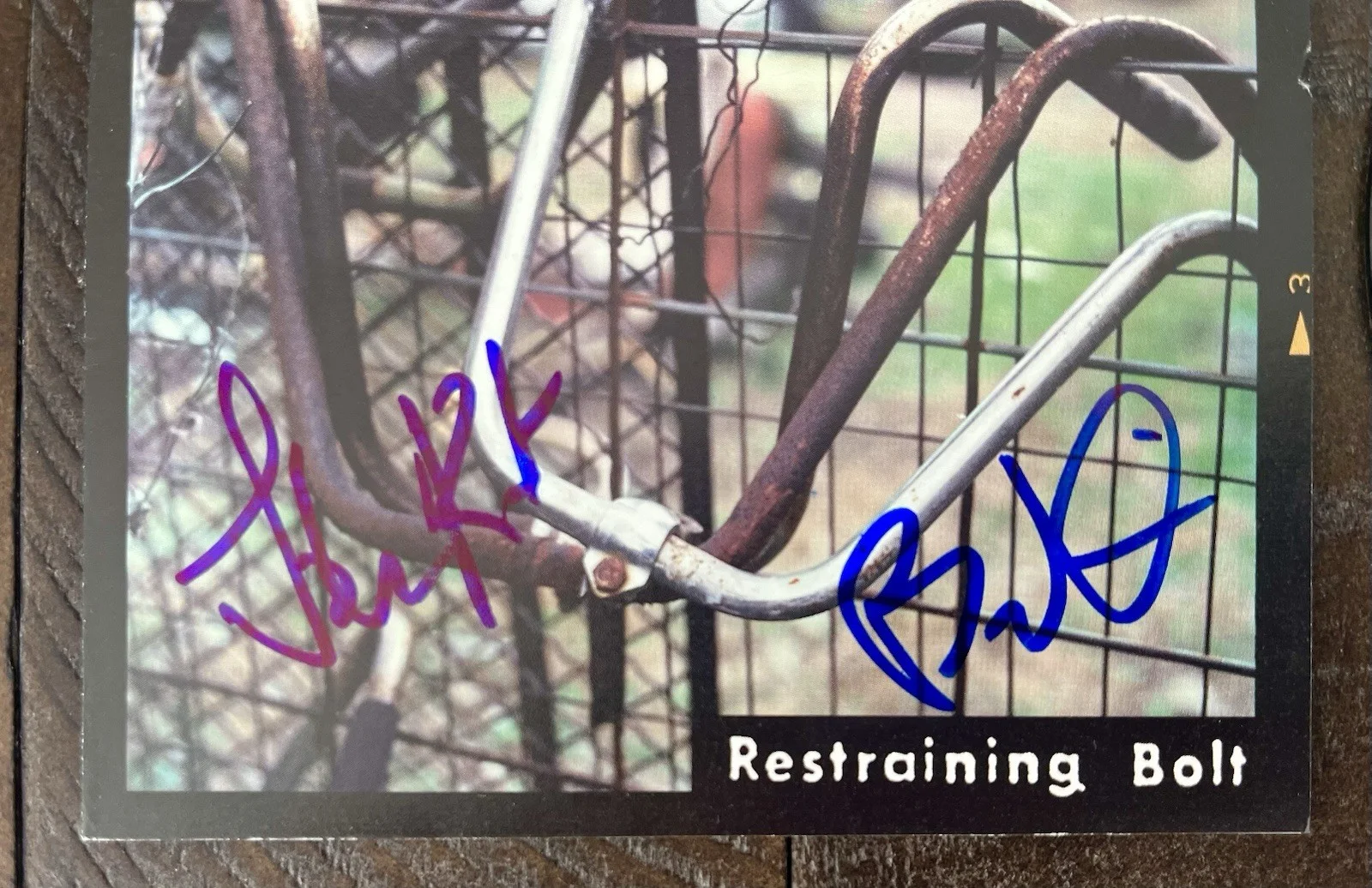 Radish - Restraining Bolt SIGNED CD AUTOGRAPHED Ben Kweller & John Kent RARE OOP, image 3