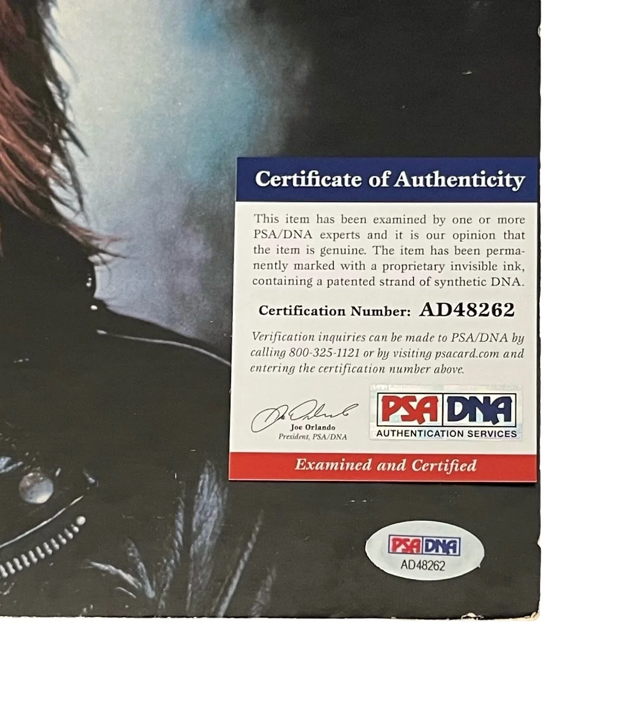 TOM PETTY SIGNED TOM PETTY AND THE HEARTBREAKERS VINYL RECORD PSA COA AD48262, image 3