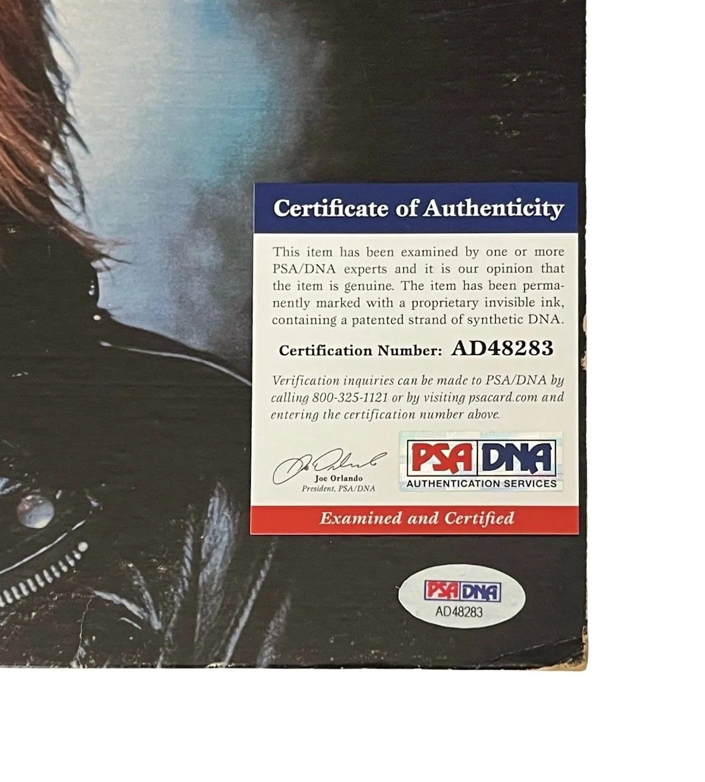 TOM PETTY SIGNED TOM PETTY AND THE HEARTBREAKERS VINYL RECORD COVER PSA COA, image 3