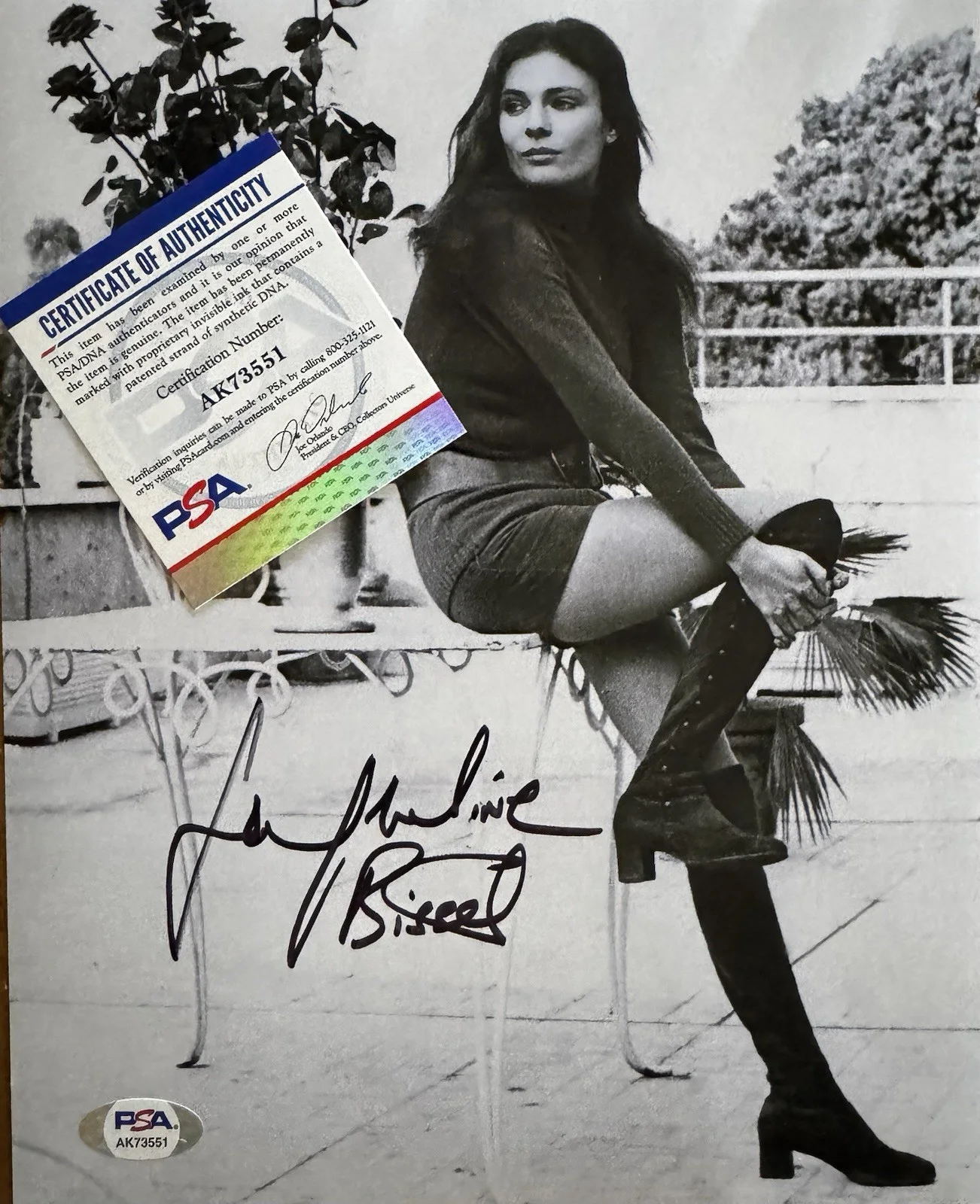 Jacqueline Bisset — Jacqueline Bisset Signed 8 X 10 Photo Sexy Bullitt Airport The Deep PSA COA, изображение 2
