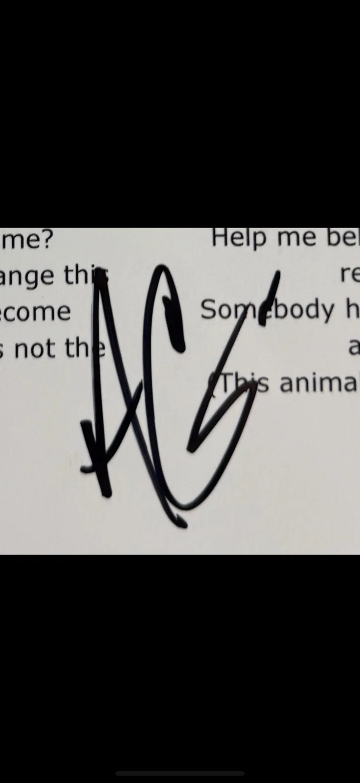 ADAM GONTIER THREE DAYS GRACE SIGNED “ANIMAL I HAVE BECOME” LYRIC SHEET * PROOF, изображение 2