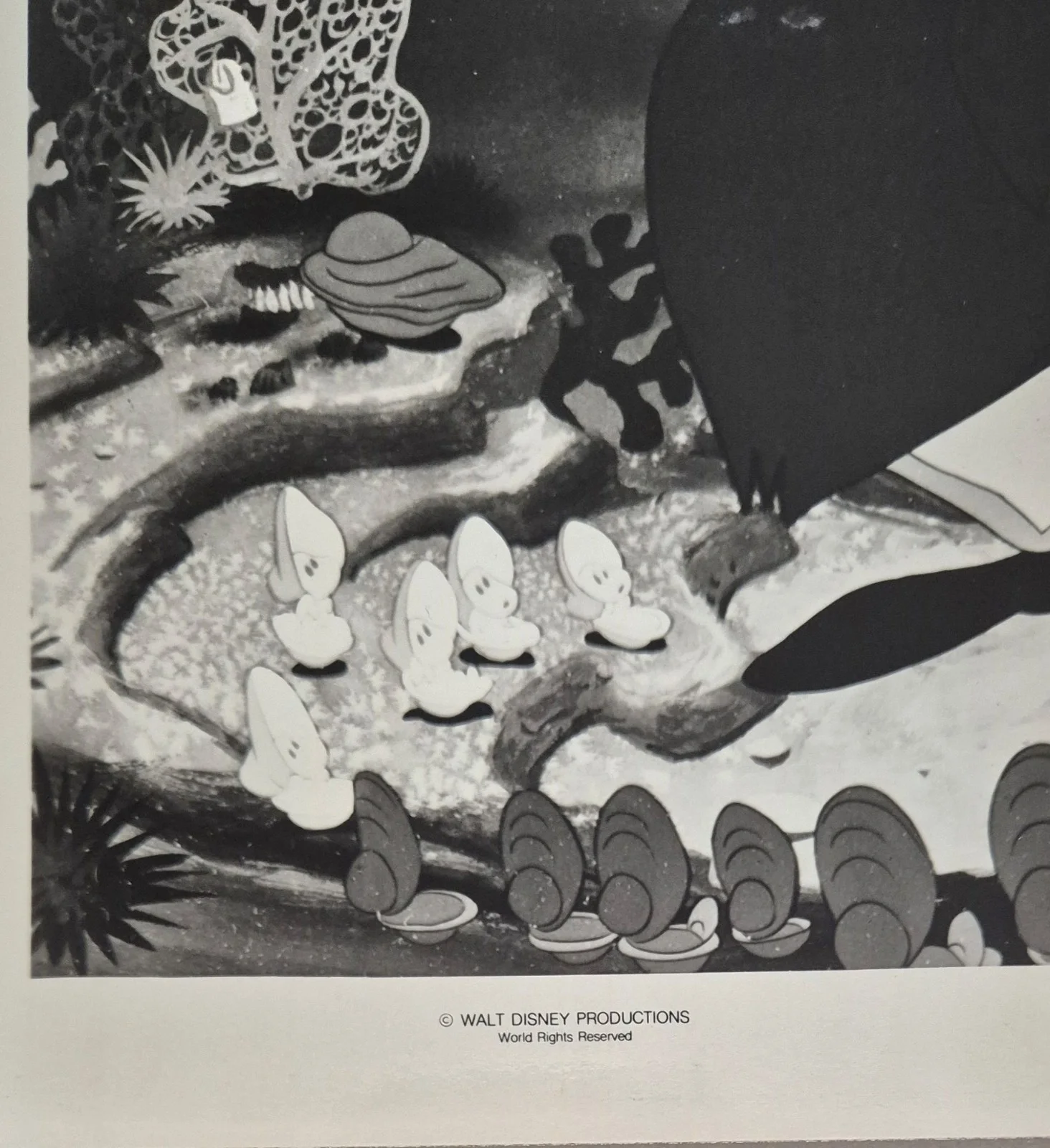 1951 ALICE IN WONDERLAND - Press Photo / Lobby Card 10" x 8" - Walt Disney #10, изображение 2