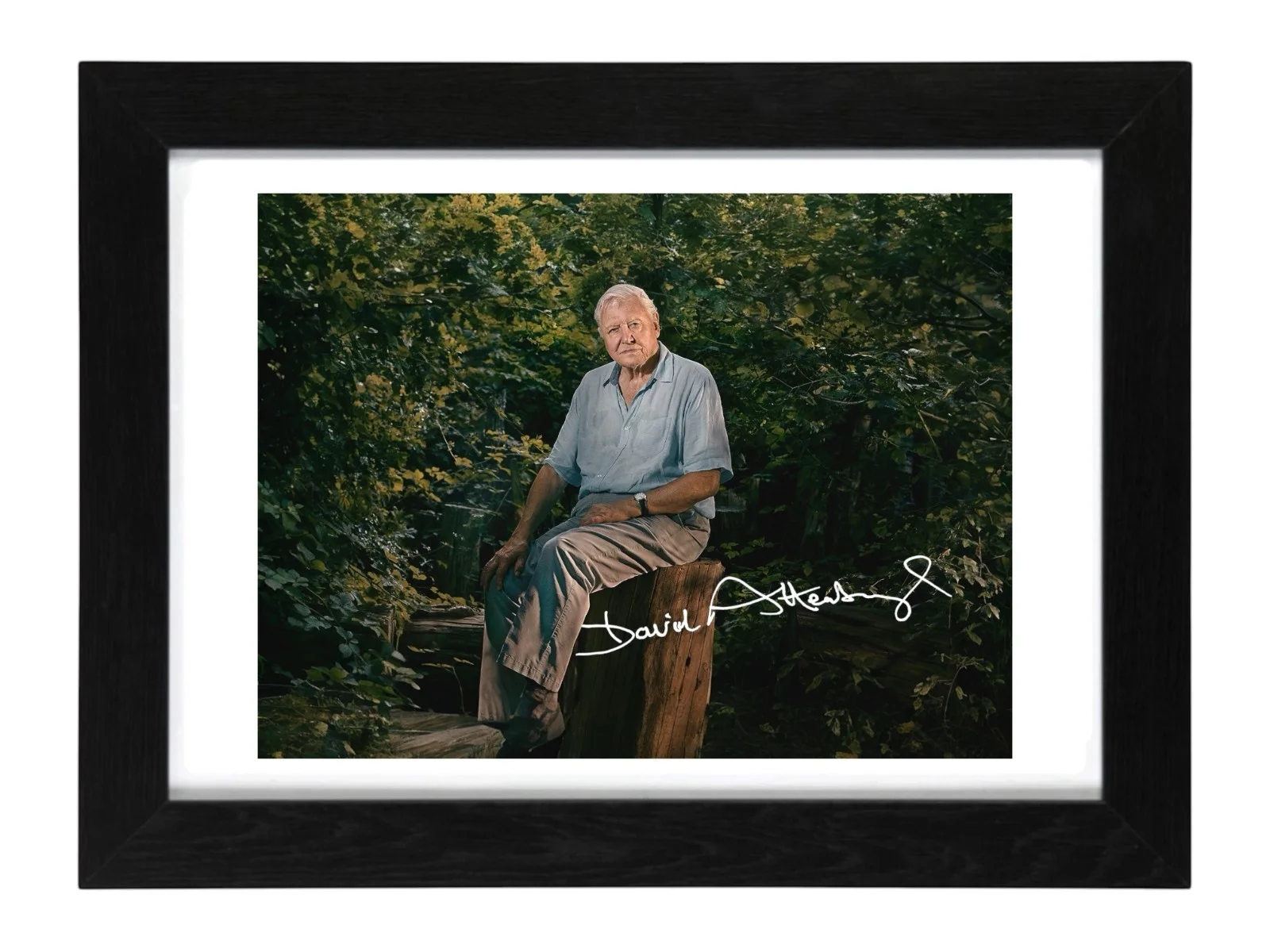 David Attenborough Signed Autograph PHOTO Pre Print 6x4/A4/ Framed / Historian, image 2