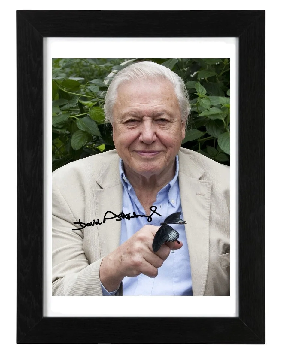 David Attenborough Signed Autograph PHOTO Pre Print 6x4/A4/ Framed / Historian, image 2