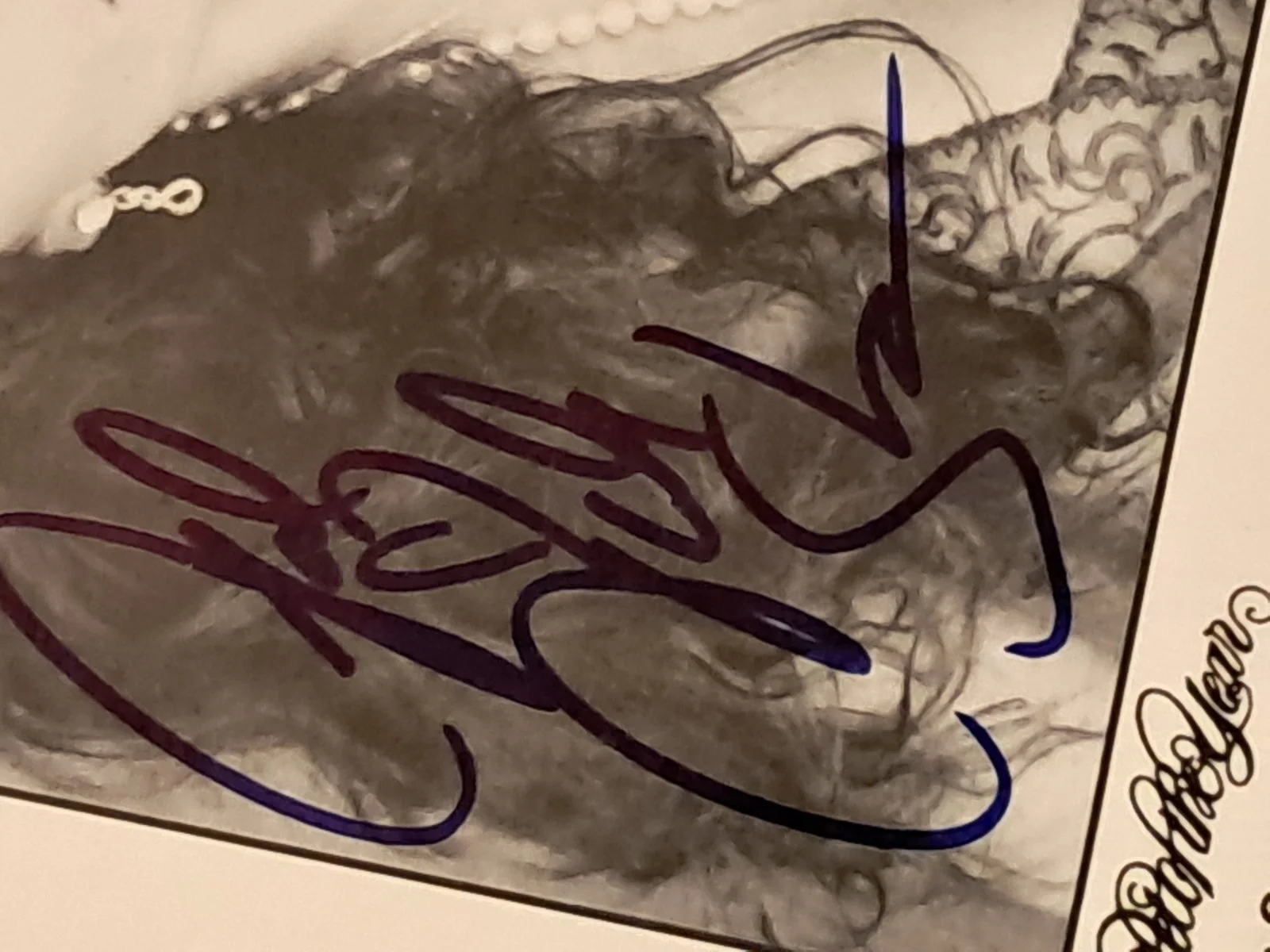 Julie Strain Signed Sexy Authentic Autographed, image 2