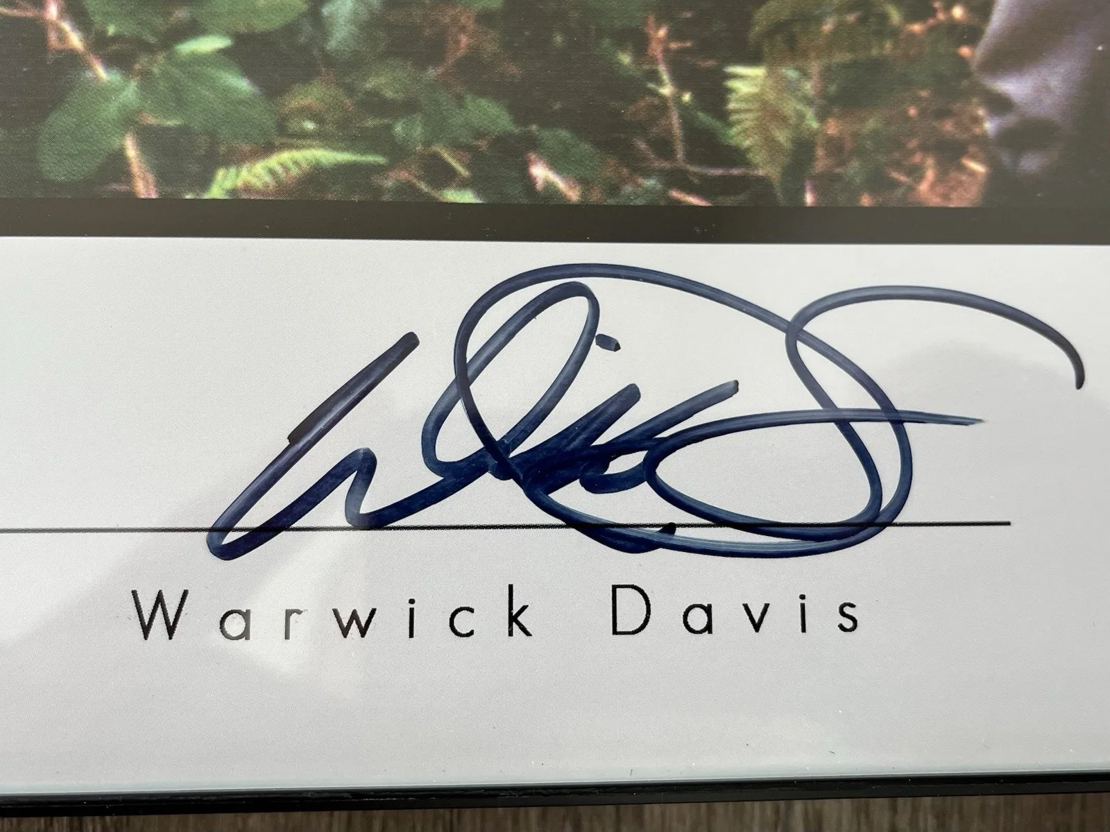 Warrick Davis — Warwick Davis autograph - 14" x 11" Star Wars Celebrity Autograph Series, изображение 2