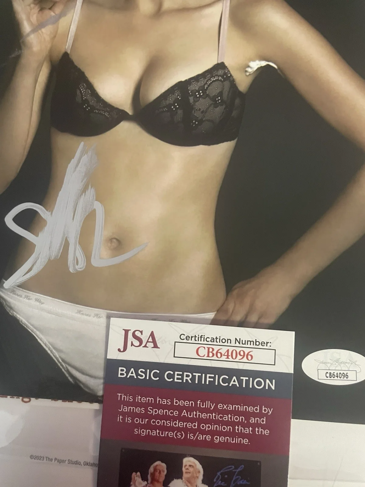 SARAH SILVERMAN SIGNED 8X10 Photo JSA COA SEXY, image 2