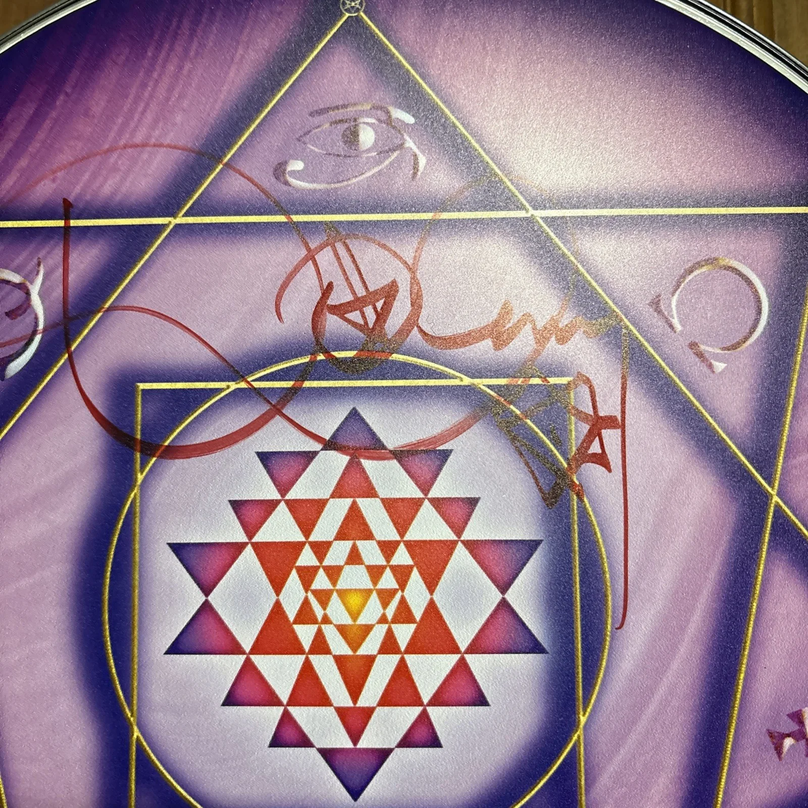 Danny Carey Tool Signed 14" Evans Drumhead with HeadFramez Wall Hanging Frame, image 2