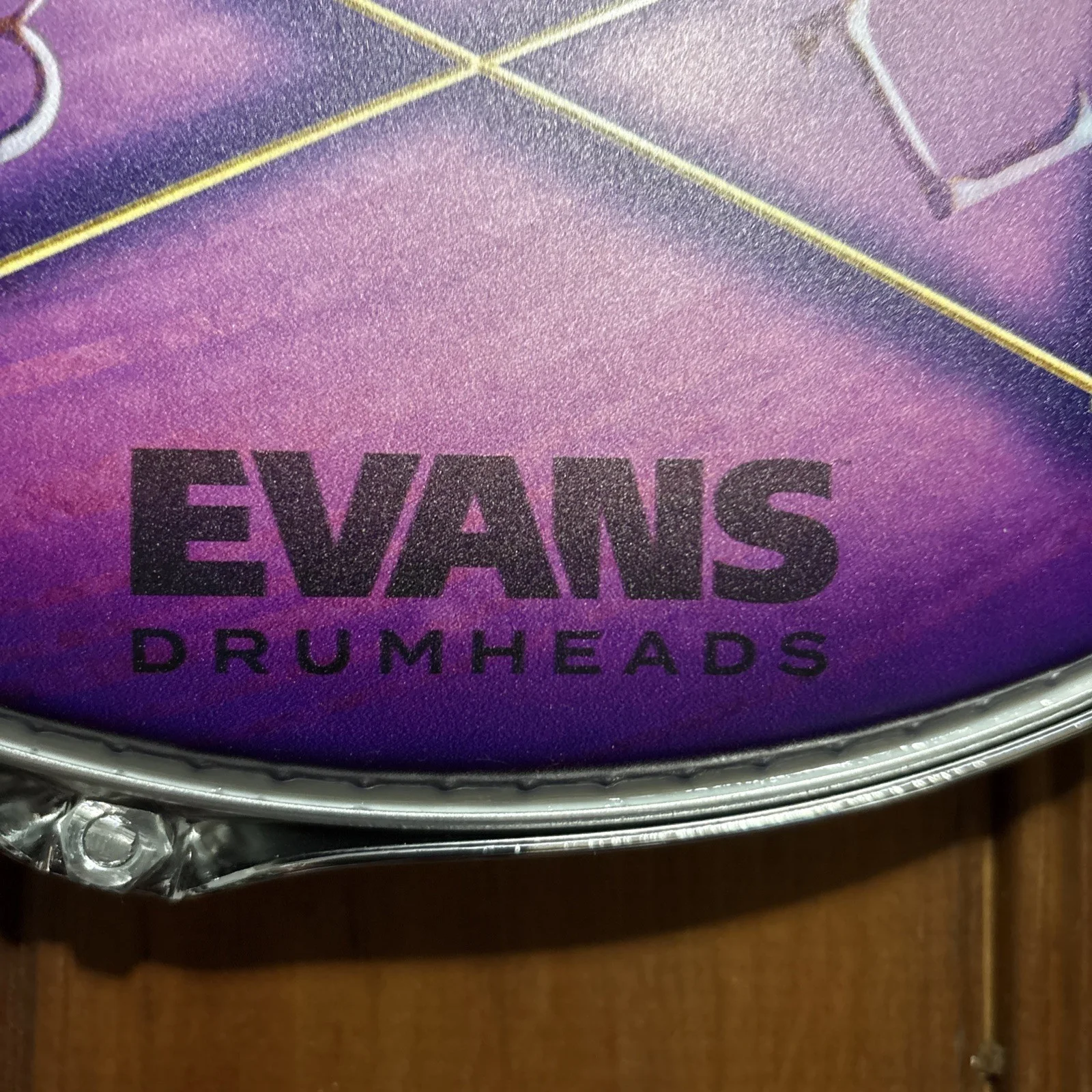 Danny Carey Tool Signed 14" Evans Drumhead with HeadFramez Wall Hanging Frame, image 4