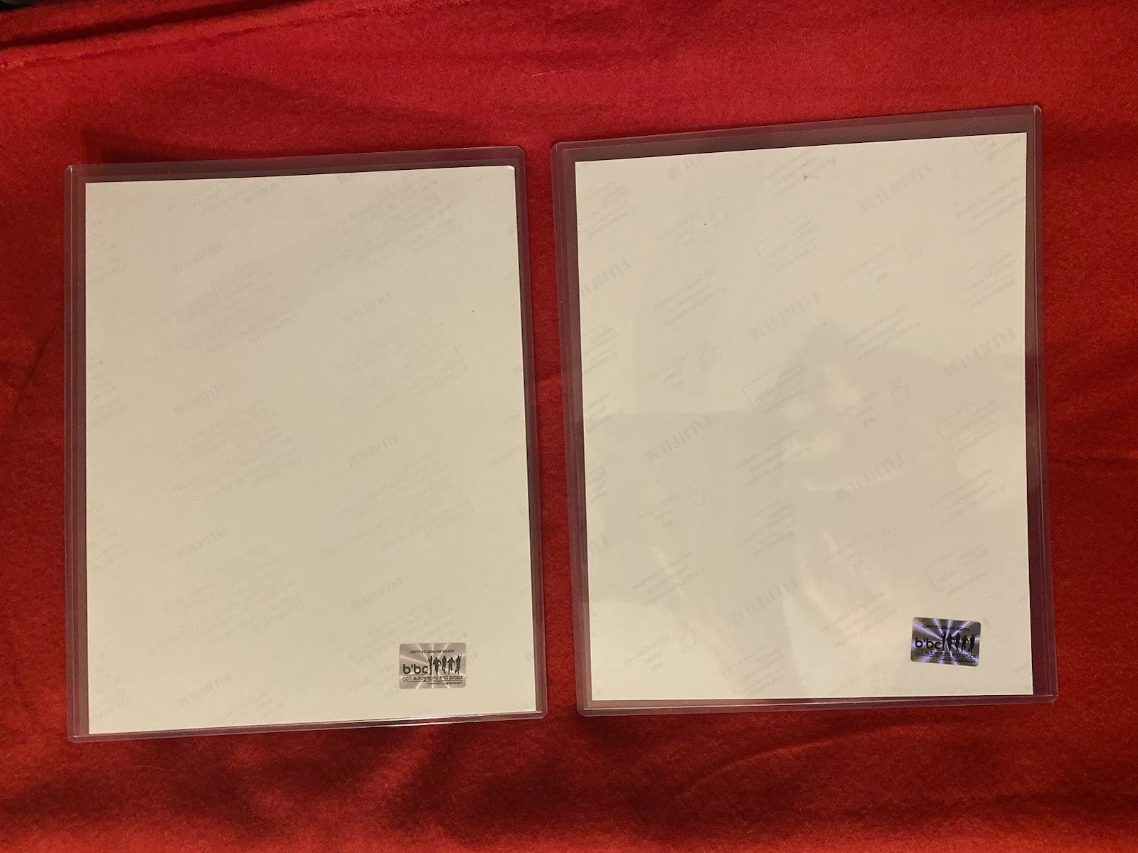 James Bond Autograph Allison Doody & Papillon Soo Soo 8x10 “A View To A Kill”., изображение 4