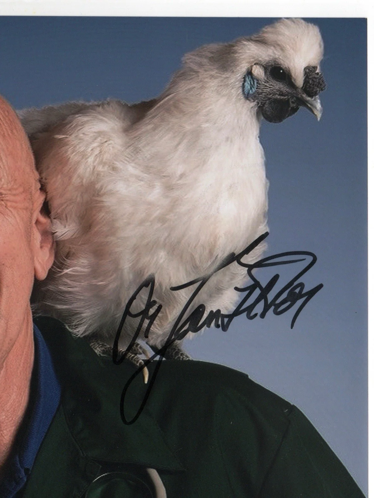 Jan Pol — Dr. Jan Pol signed autograph 8x10 Photo No COA Pass BAS PSA JSA Tv Vet Dr *INR, image 2
