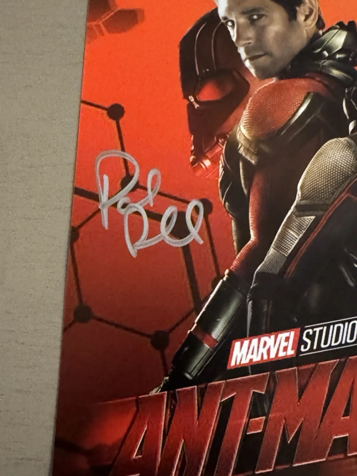 Paul Rudd, Evangeline Lilly — Paul Rudd Evangeline Lilly Signed Ant-Man & Wasp Poster JSA BAS Marvel MCU Auto, image 2