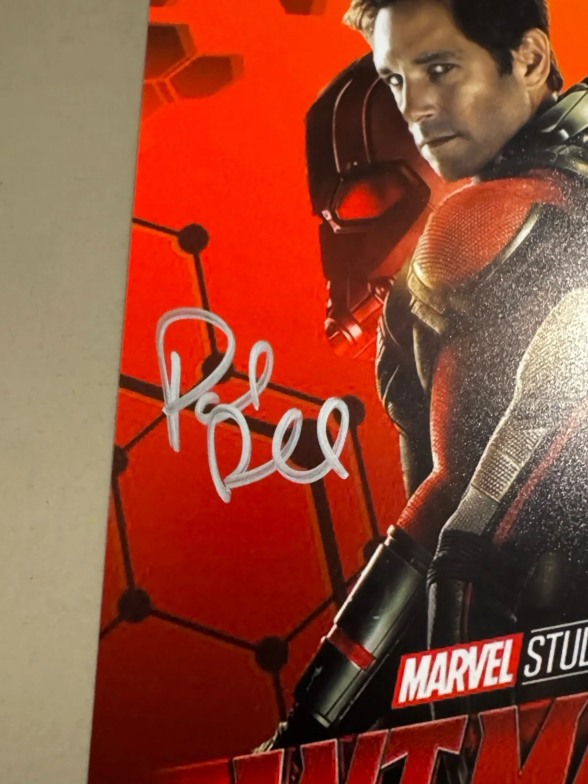 Paul Rudd, Evangeline Lilly — Paul Rudd Evangeline Lilly Signed Ant-Man & Wasp Poster JSA BAS Marvel MCU Auto, image 5