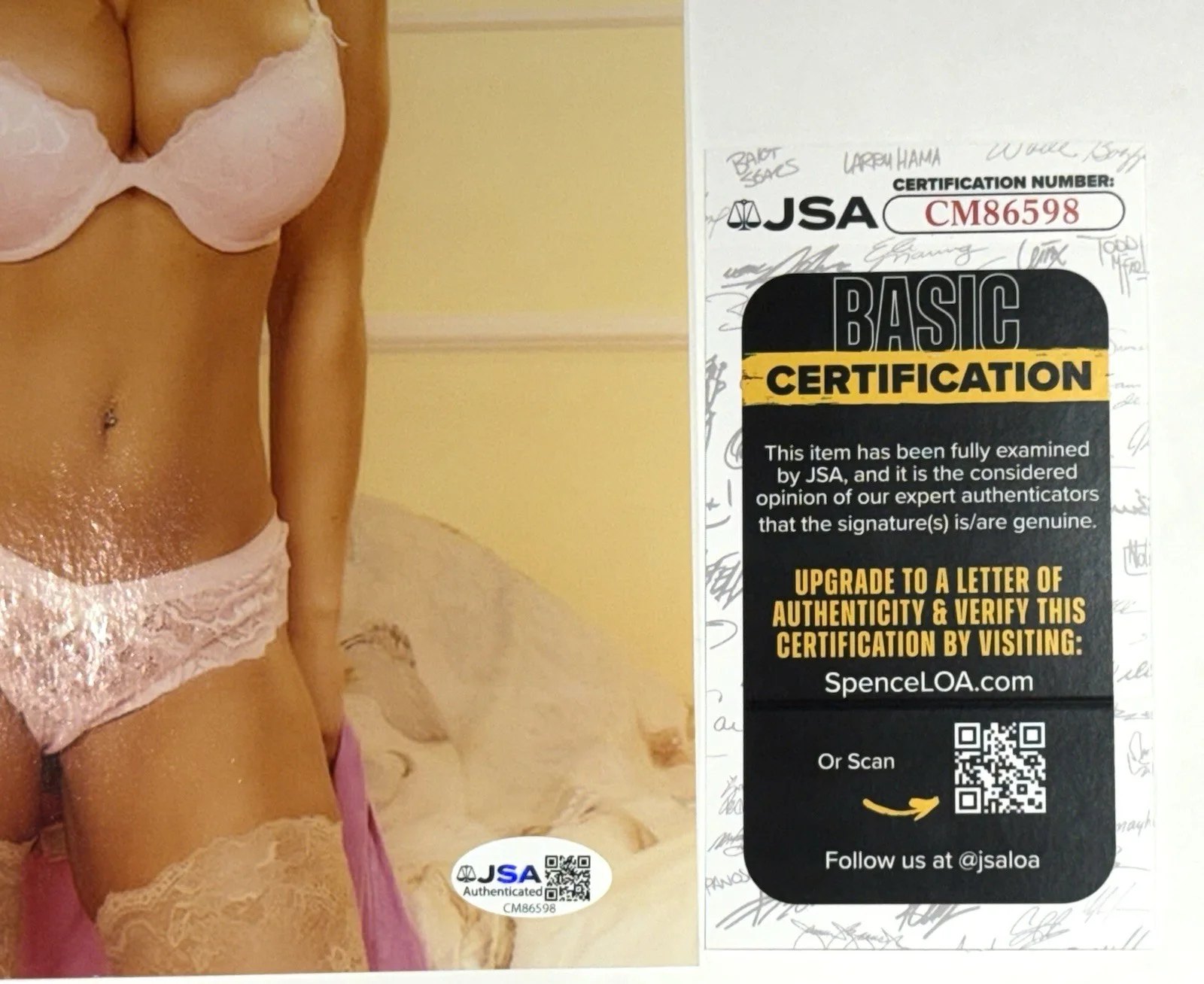 Lisa Ann Adult STAR SIGNED 8X10 PHOTO Autograph Sexy 🔥Naughty America JSA, изображение 3