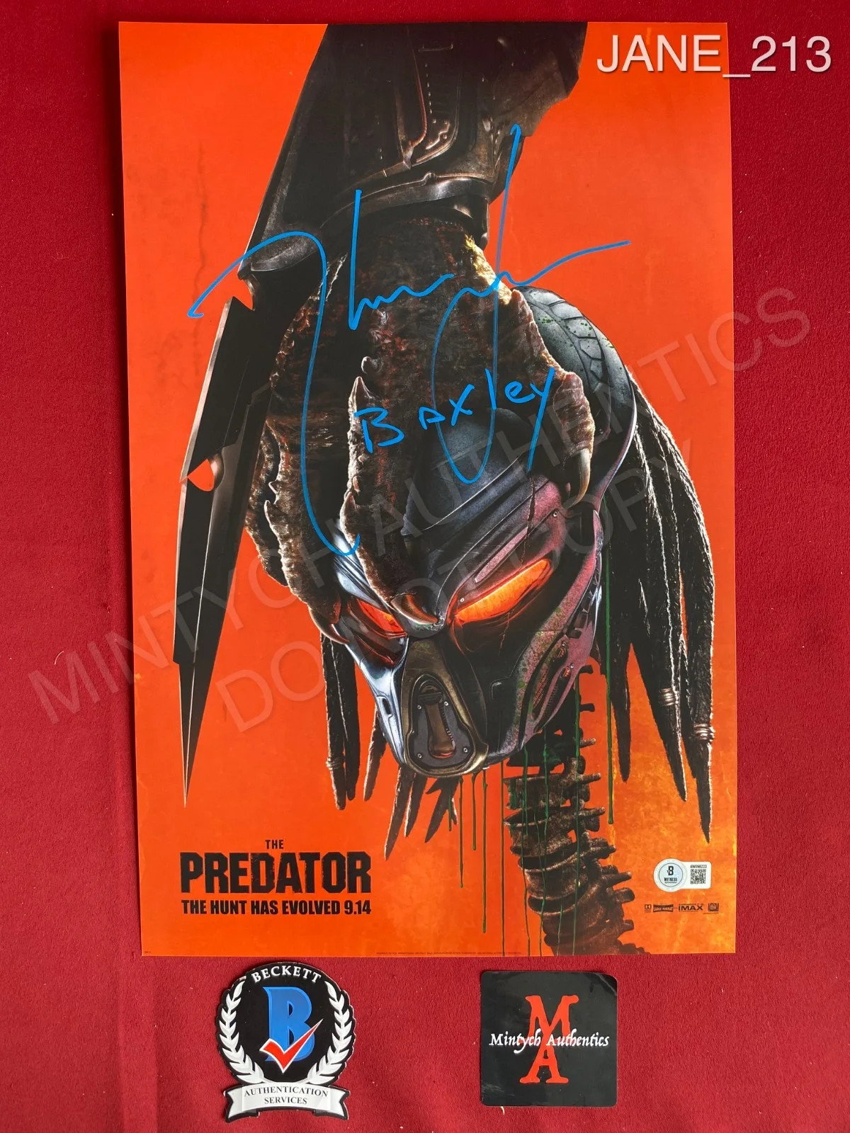 Thomas Jane — Thomas Jane autographed signed 11x17 photo The Predator Beckett COA