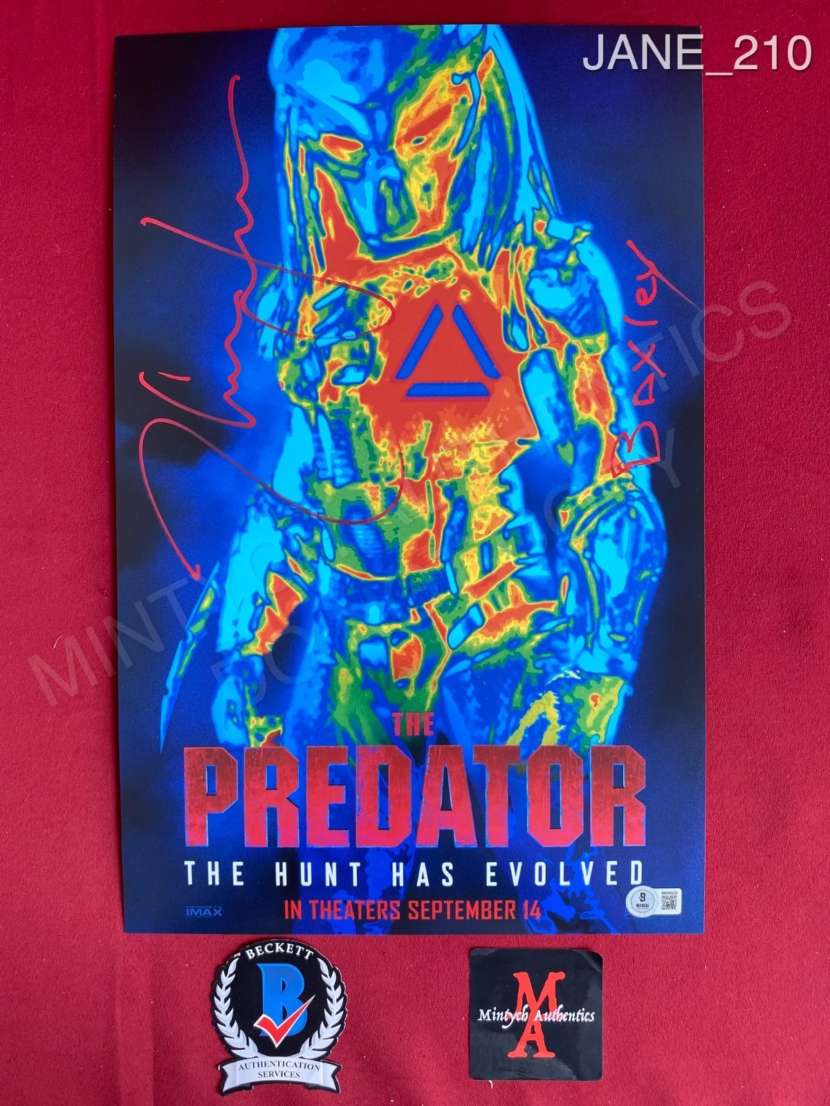 Thomas Jane — Thomas Jane autographed signed 11x17 photo The Predator Beckett COA