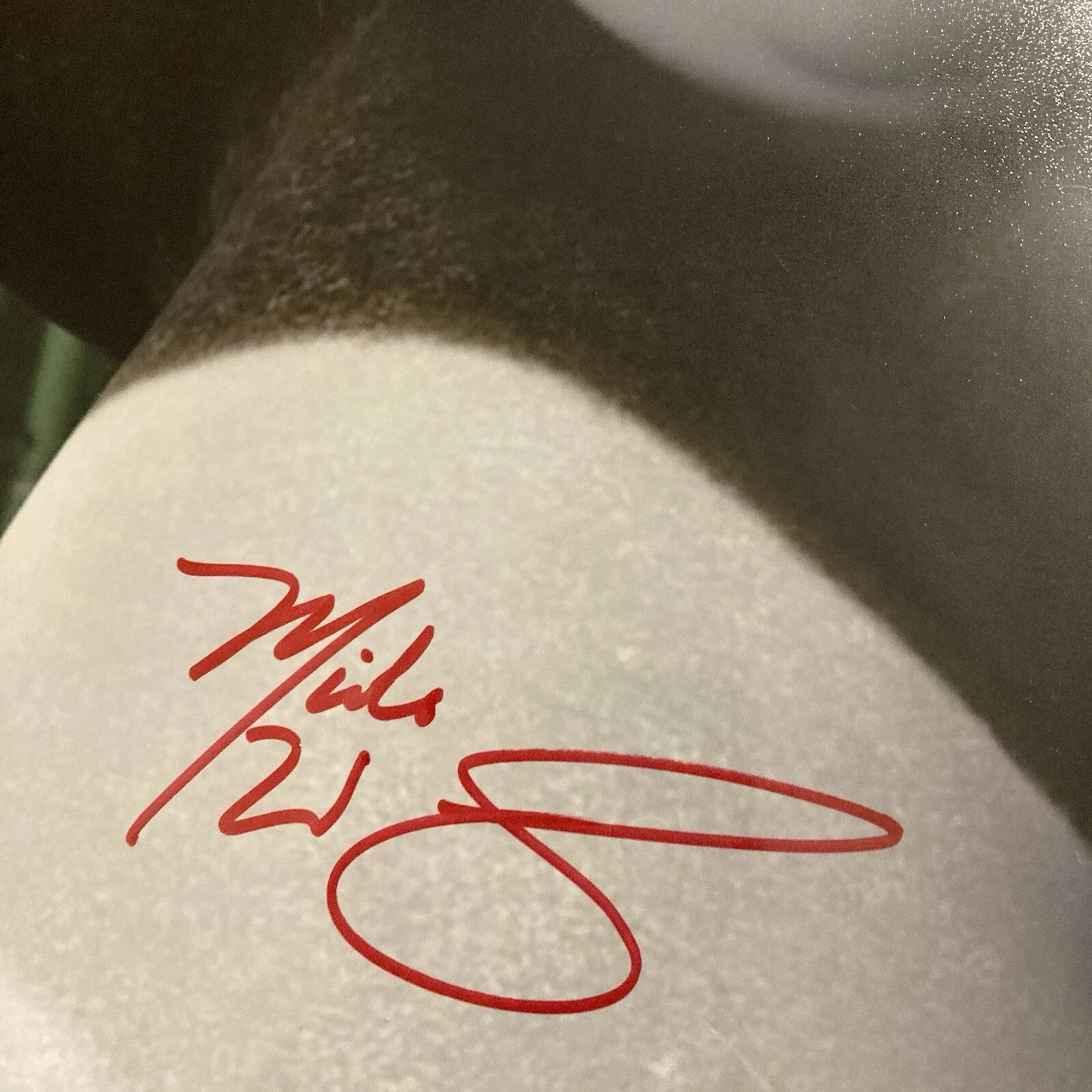 Mick Wingert — Kung Fu Panda PO Signed 8x10 Photo Mick Wingert Signed Beckett COA Dreamworks, image 2
