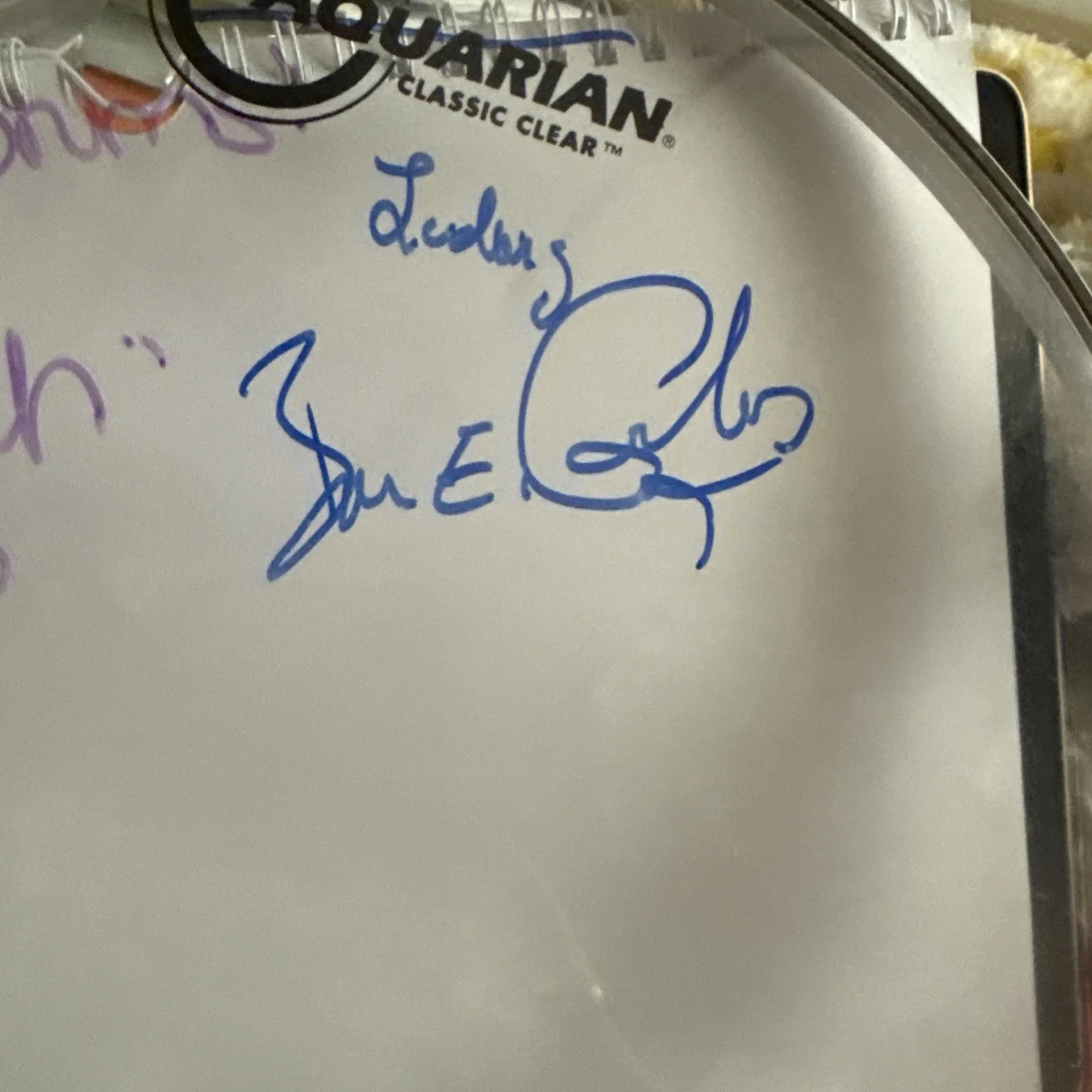 Cheap Trick Umphreys McGee Prince Smashing Pumpkins Drum Head Signed COA, image 3