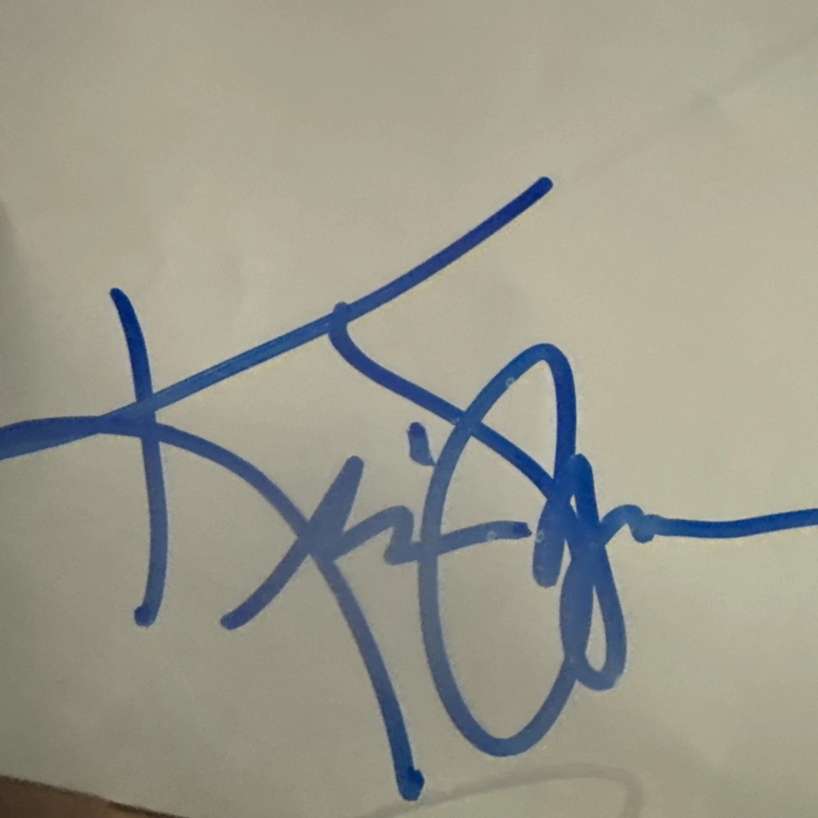 Cheap Trick Umphreys McGee Prince Smashing Pumpkins Drum Head Signed COA, image 4