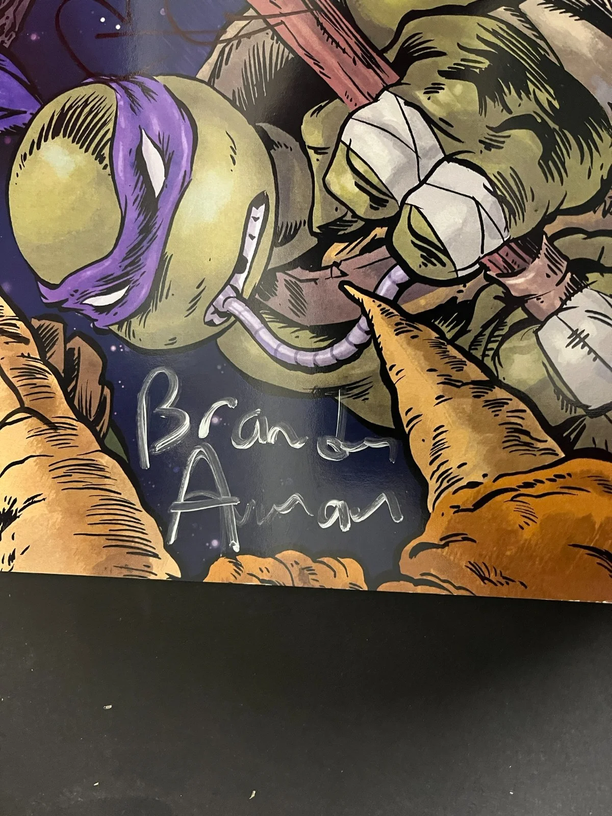 TMNT cast signed poster 2015 Nickelodeon Show, image 2