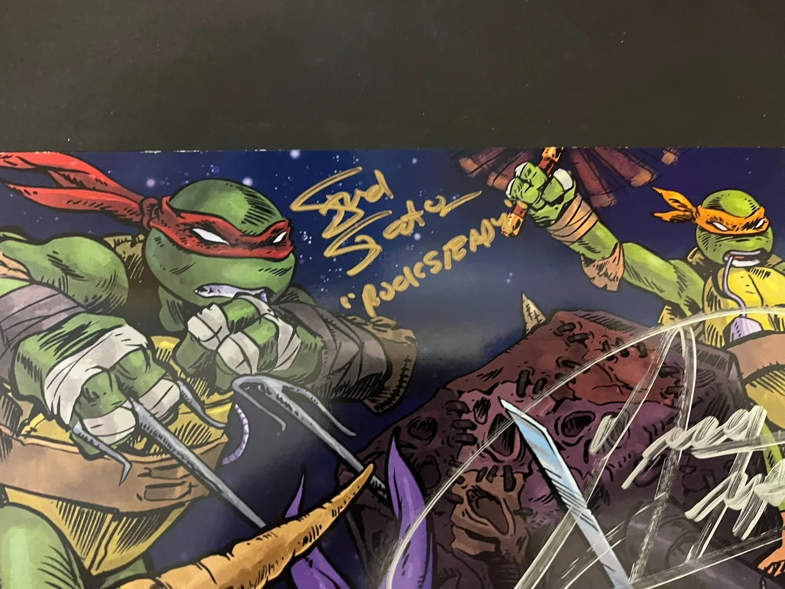 TMNT cast signed poster 2015 Nickelodeon Show, image 3