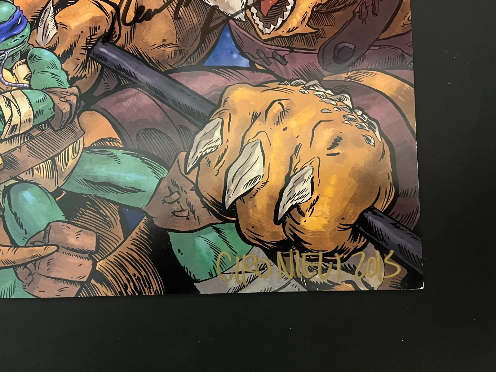 TMNT cast signed poster 2015 Nickelodeon Show, image 5