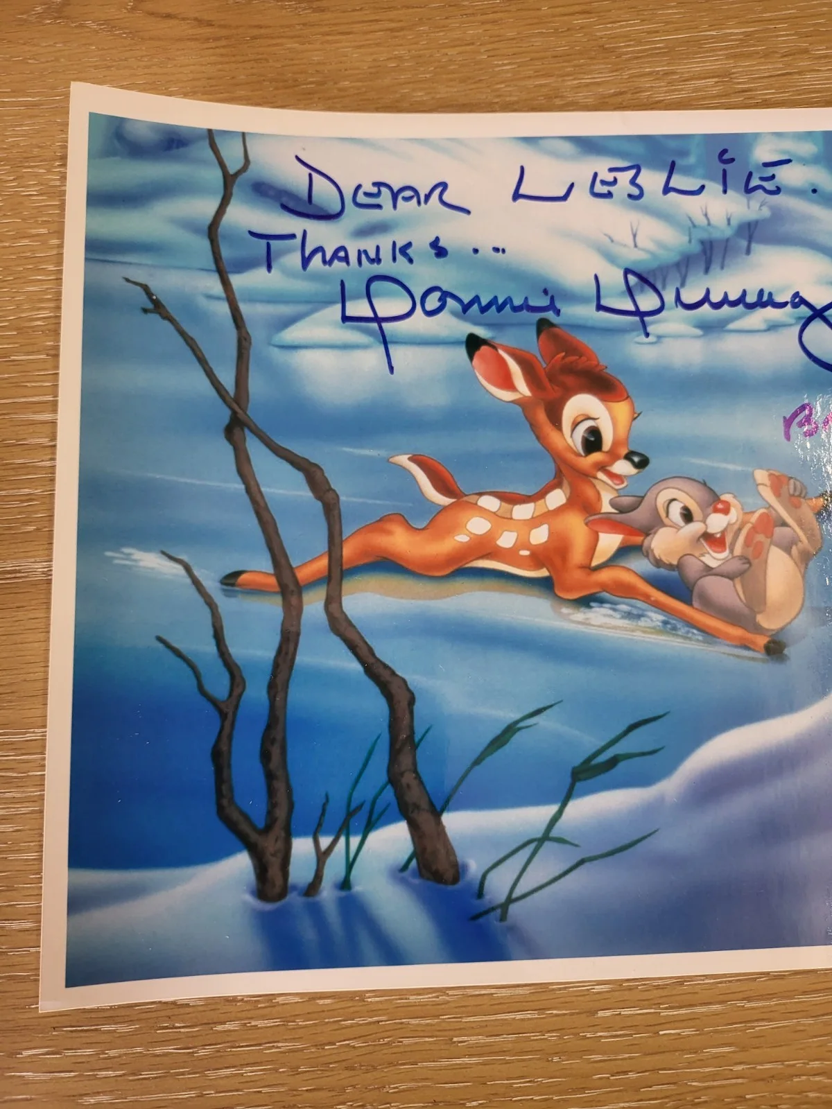 🦌🐰DONNIE DUNAGAN SIGNED 8x10 PHOTO BAMBI 🦌🐰, image 2