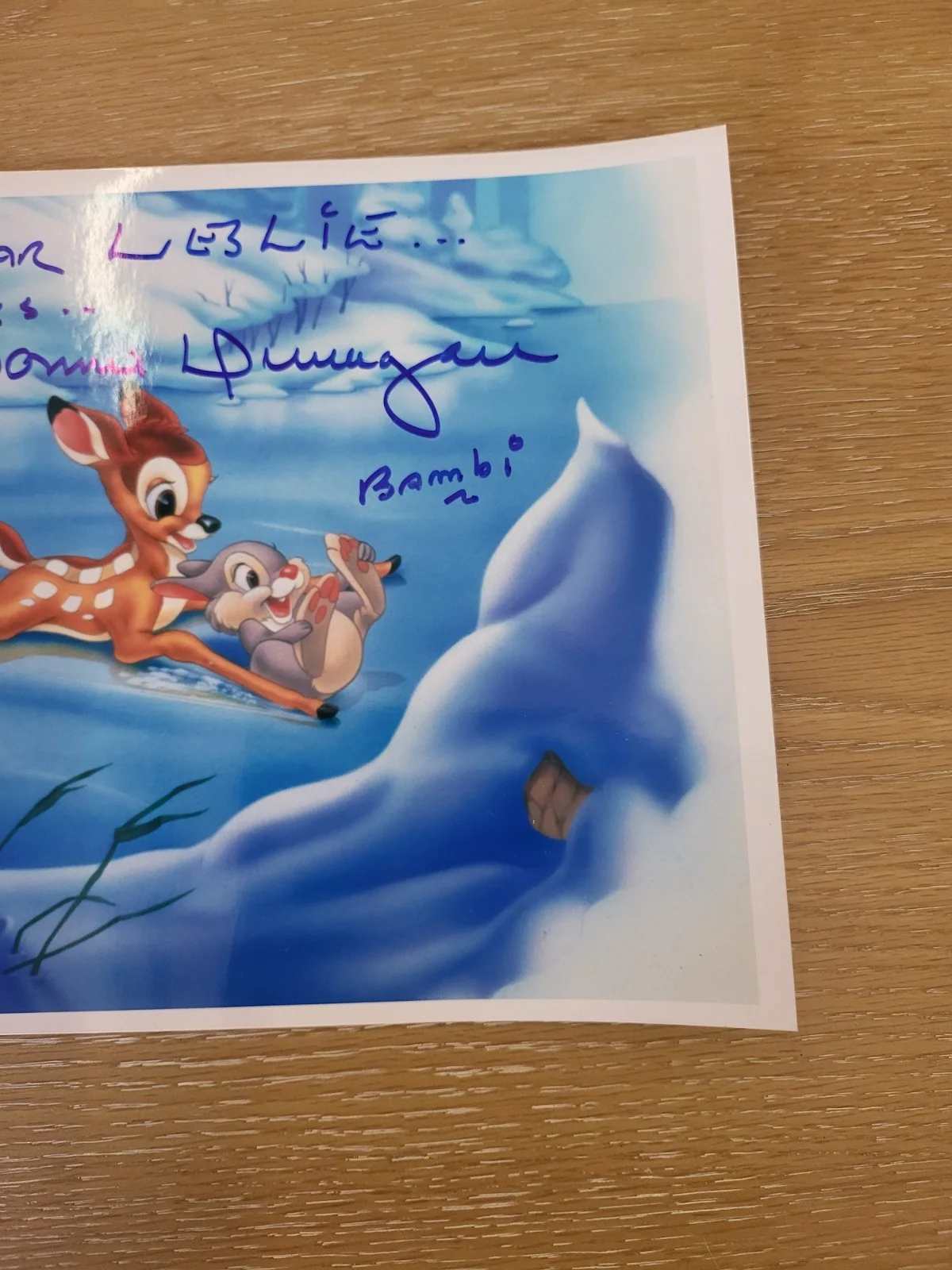 🦌🐰DONNIE DUNAGAN SIGNED 8x10 PHOTO BAMBI 🦌🐰, image 5