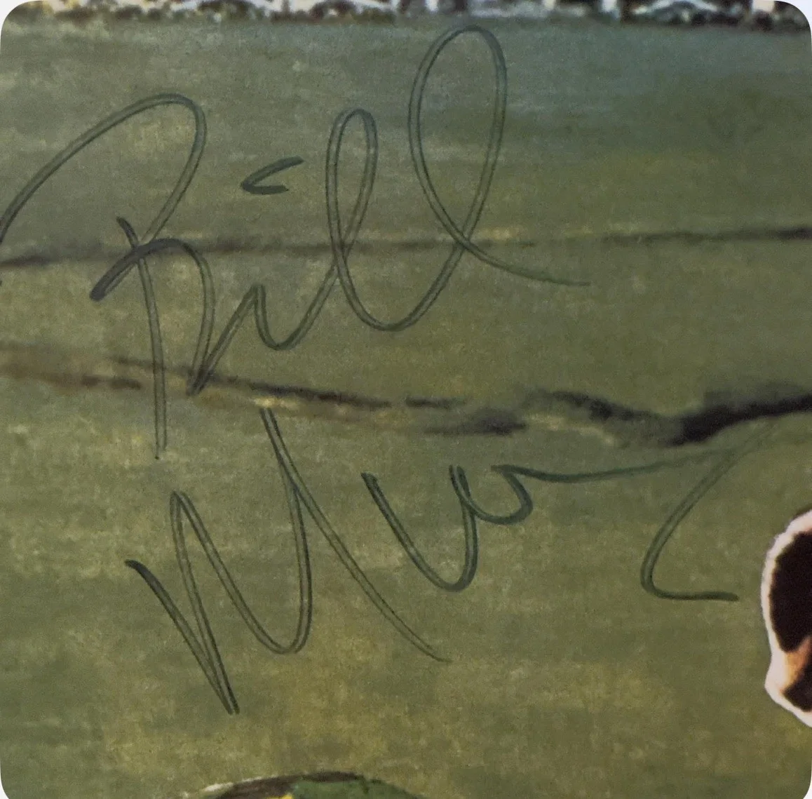 Caddyshack Full Cast Signed 27x40 Poster, image 5