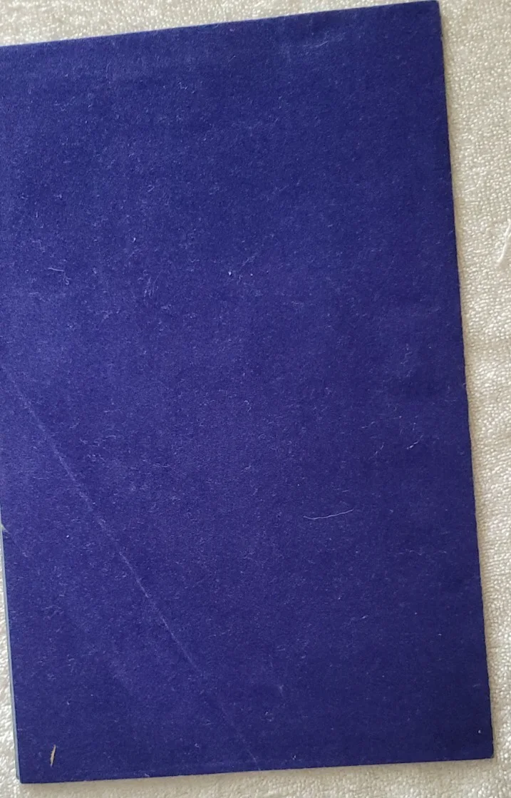 FRANK SINATRA Vintage 1974 CAESARS PALACE CIRCUS MAXIMUS Las Vegas Concert Menu, image 3