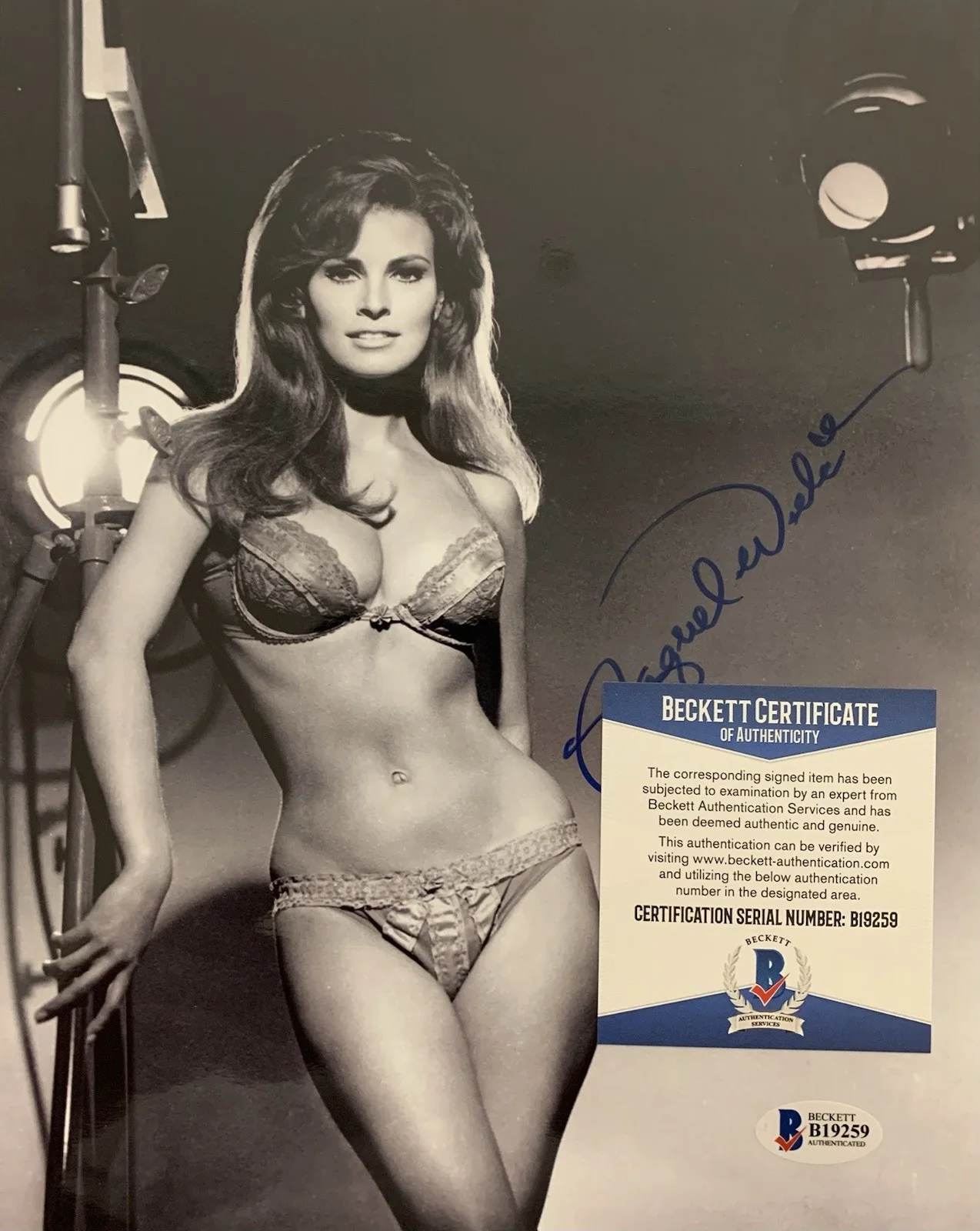 Raquel Welch — Raquel Welch "Photoshoot" Signed 8x10 Glossy Photo - Beckett (BAS) Cert B19259, изображение 2