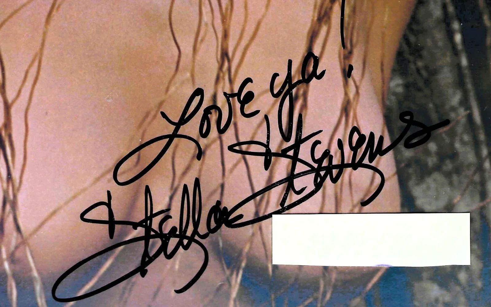 Stella Stevens — STELLA STEV ENS signed 8x10 with COA "Poseidon Adventure", The Nutty Professor, image 2