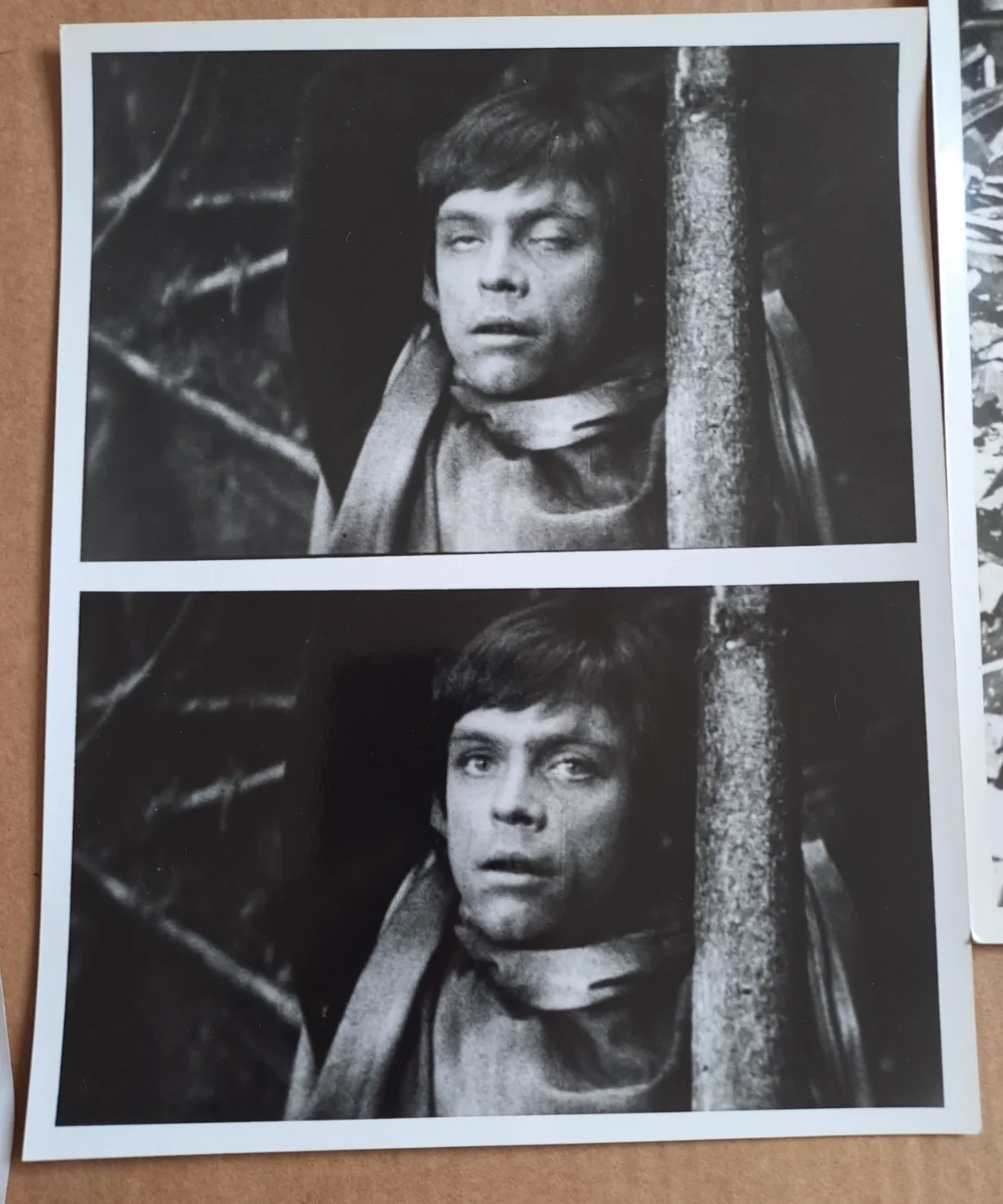 Lot of 7 STAR WARS 8" X 10" B&W photo's Mark Hamill Harrison Ford, Carrie, Lucas, изображение 3