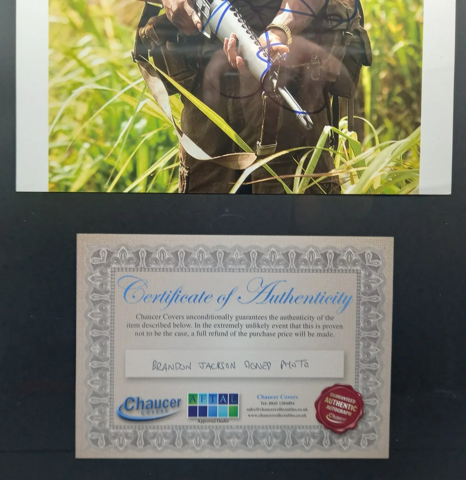 Genuine Certified BRANDON T JACKSON Hand Signed Autographed Framed 17"x12" + COA, image 4