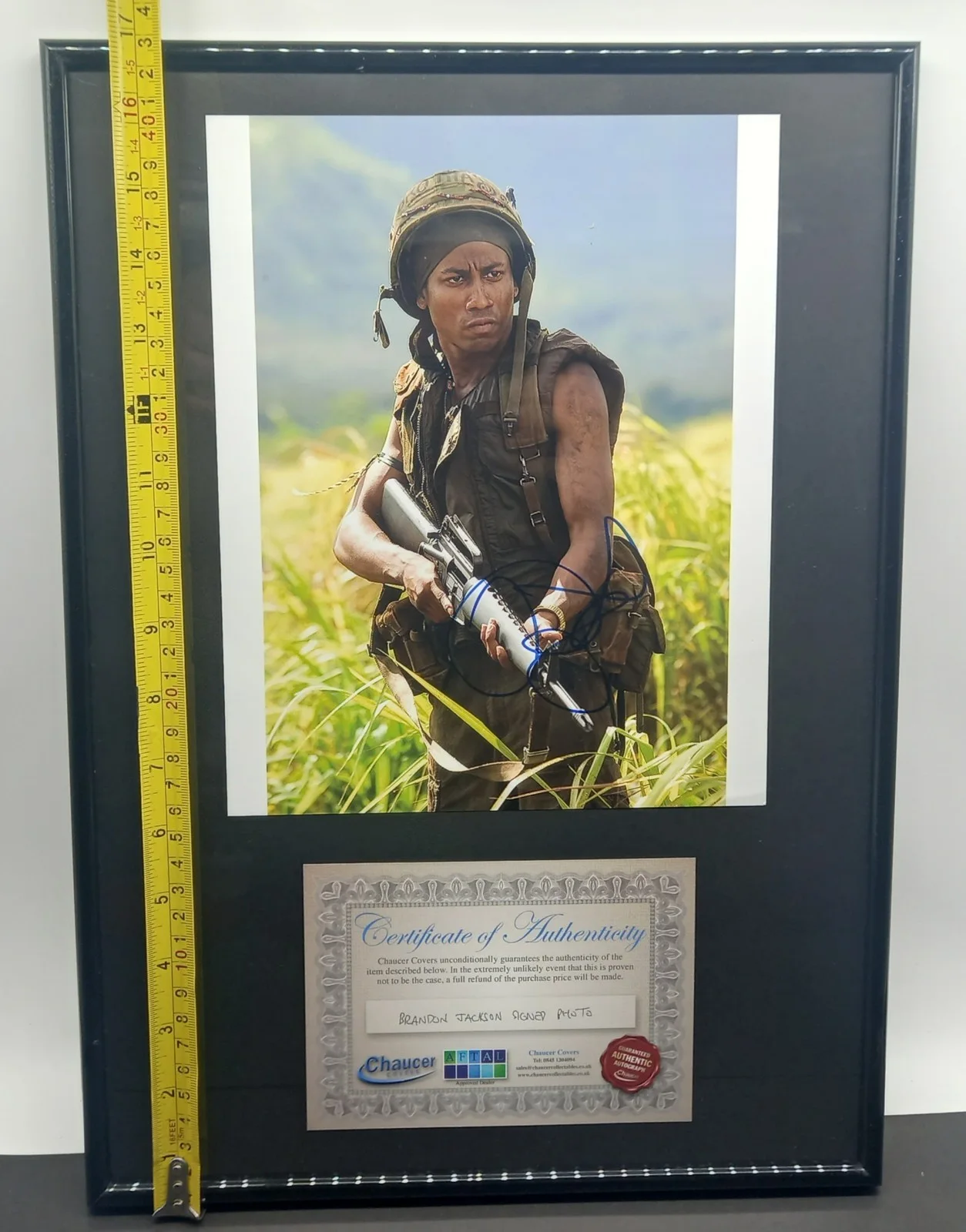 Genuine Certified BRANDON T JACKSON Hand Signed Autographed Framed 17"x12" + COA, image 5