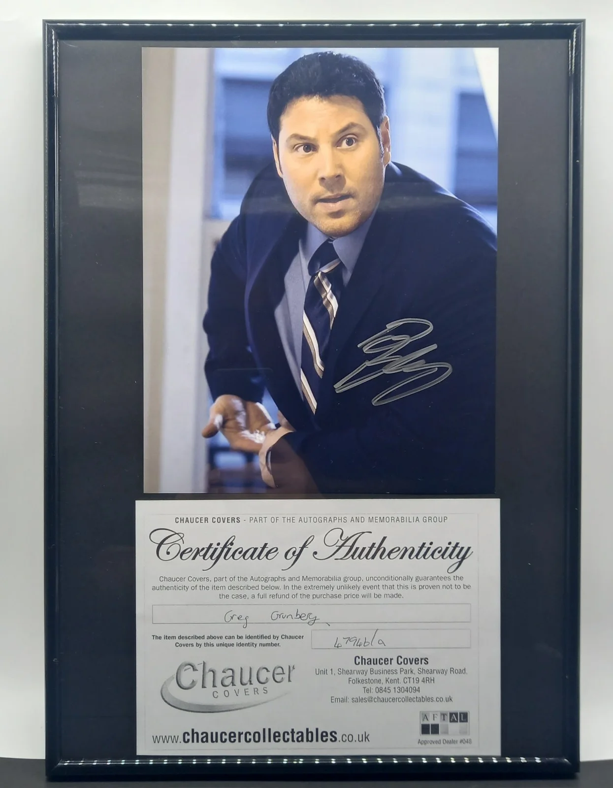 Genuine Certified GREG GRUNBERG Hand Signed Autographed Framed 17"x12" + COA, image 4