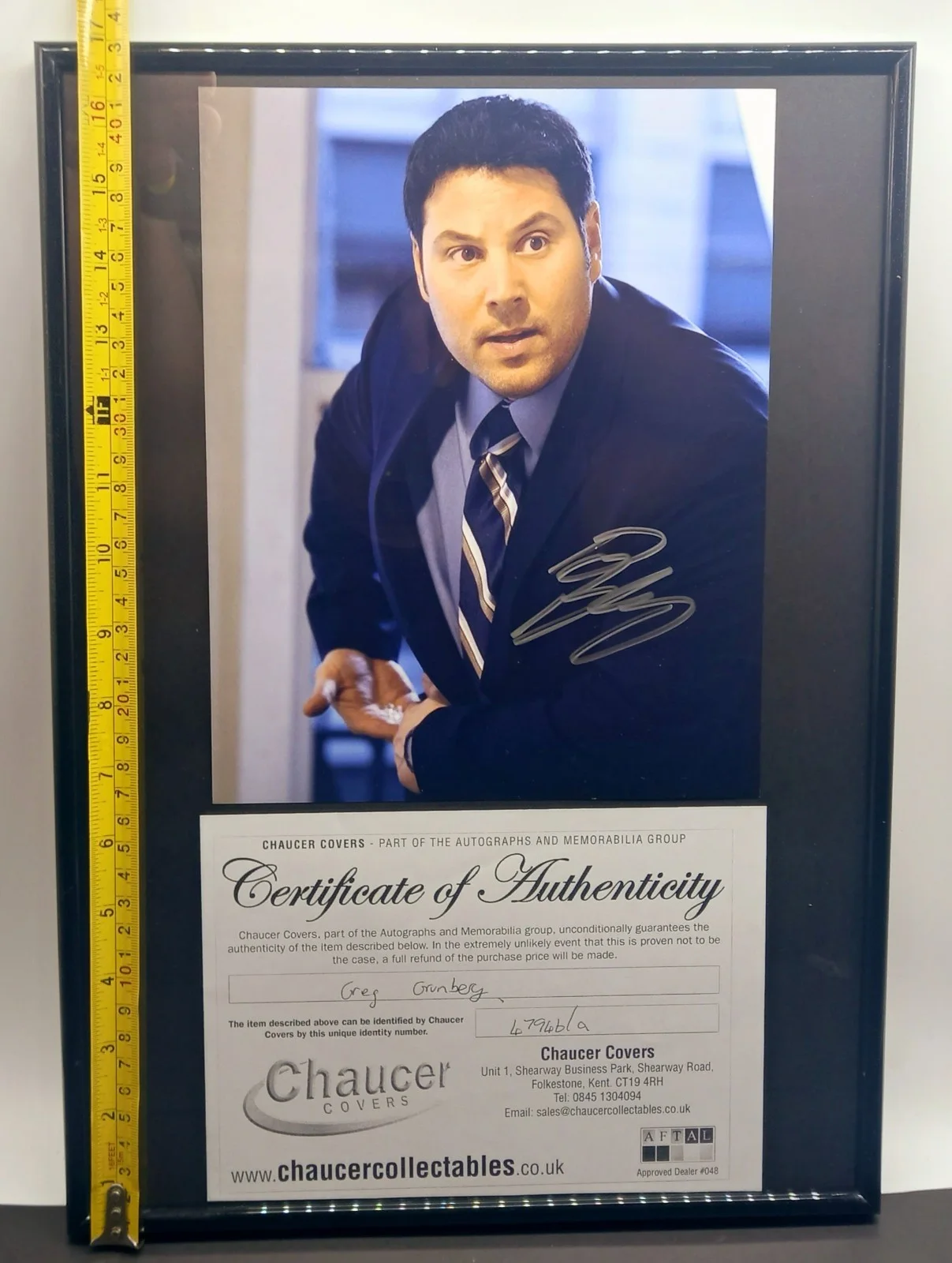 Genuine Certified GREG GRUNBERG Hand Signed Autographed Framed 17"x12" + COA, image 5